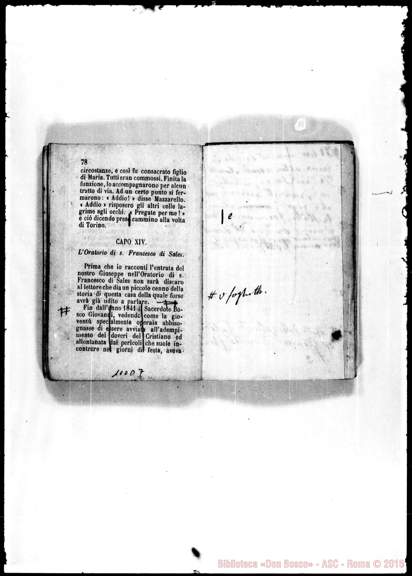 Fotogramma D 7