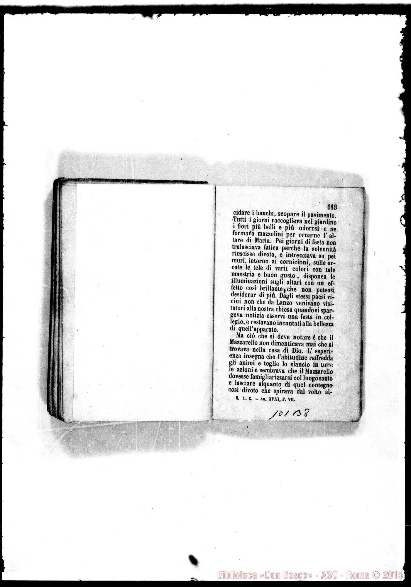 Fotogramma B 8