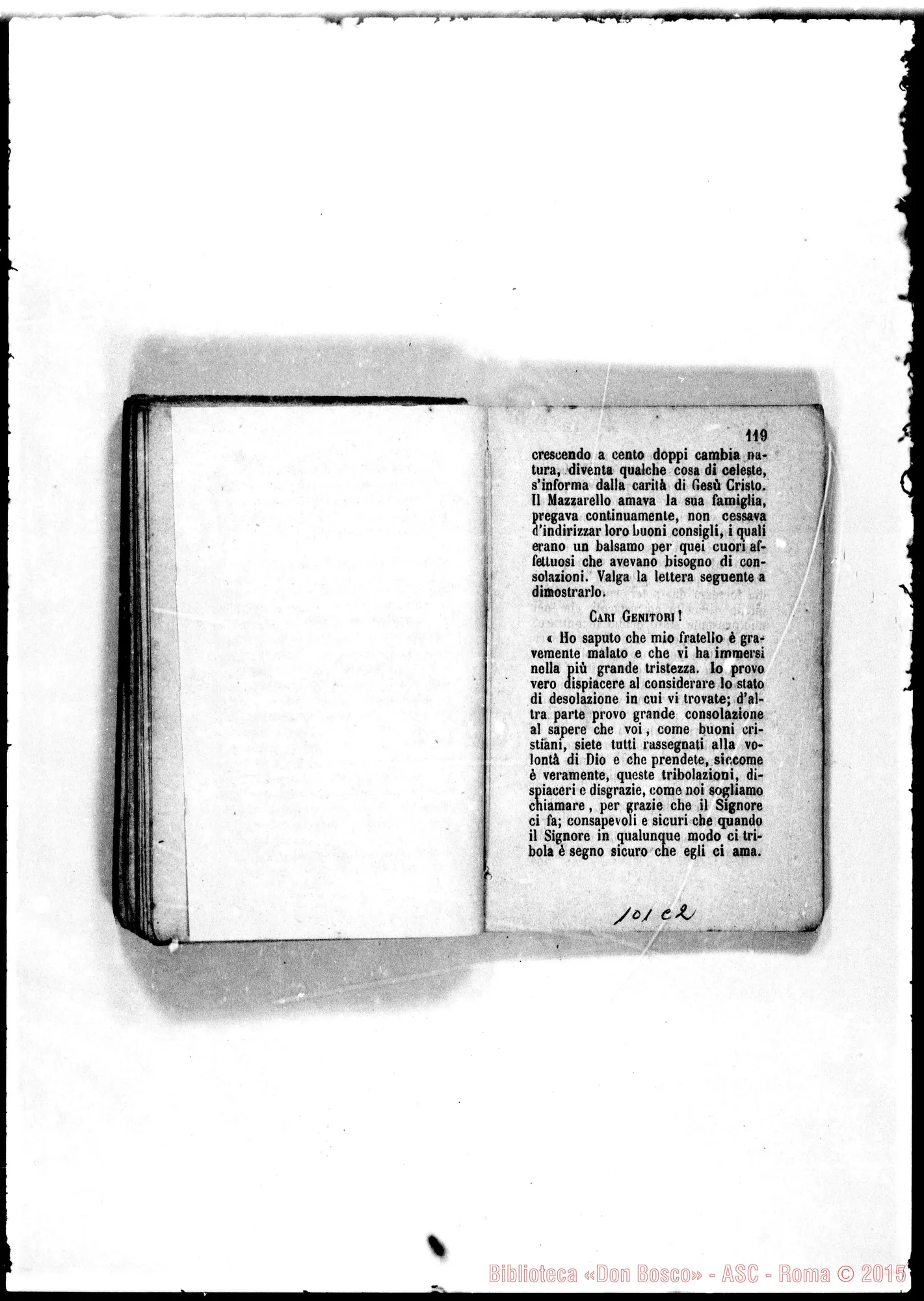 Fotogramma C 2