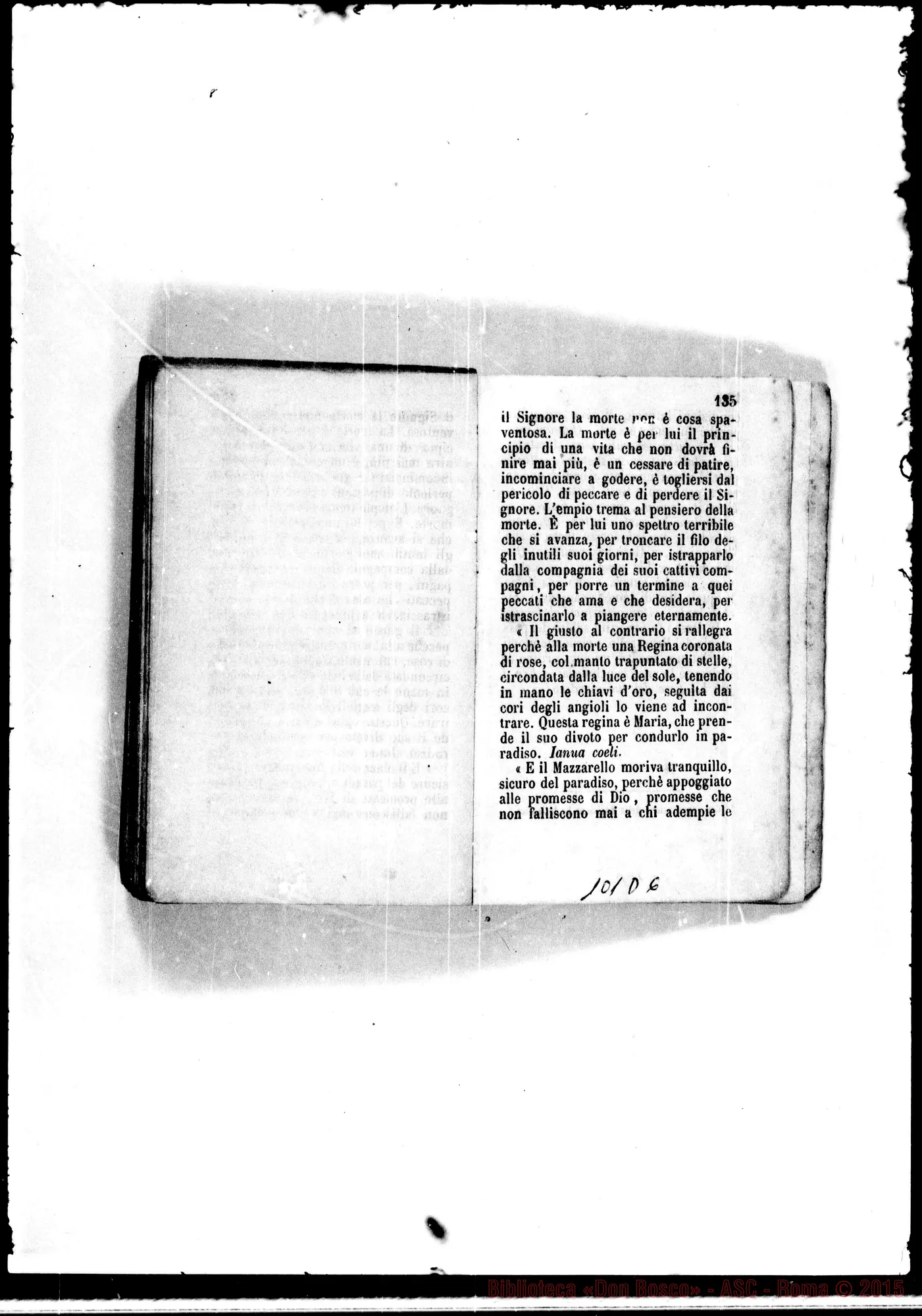 Fotogramma D 6