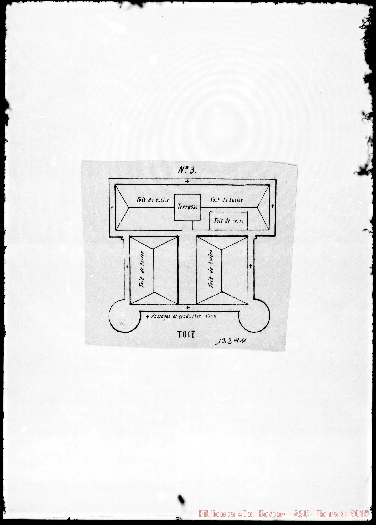 Fotogramma A 11 — A. Centaro-Bosco. Acclusa pianta