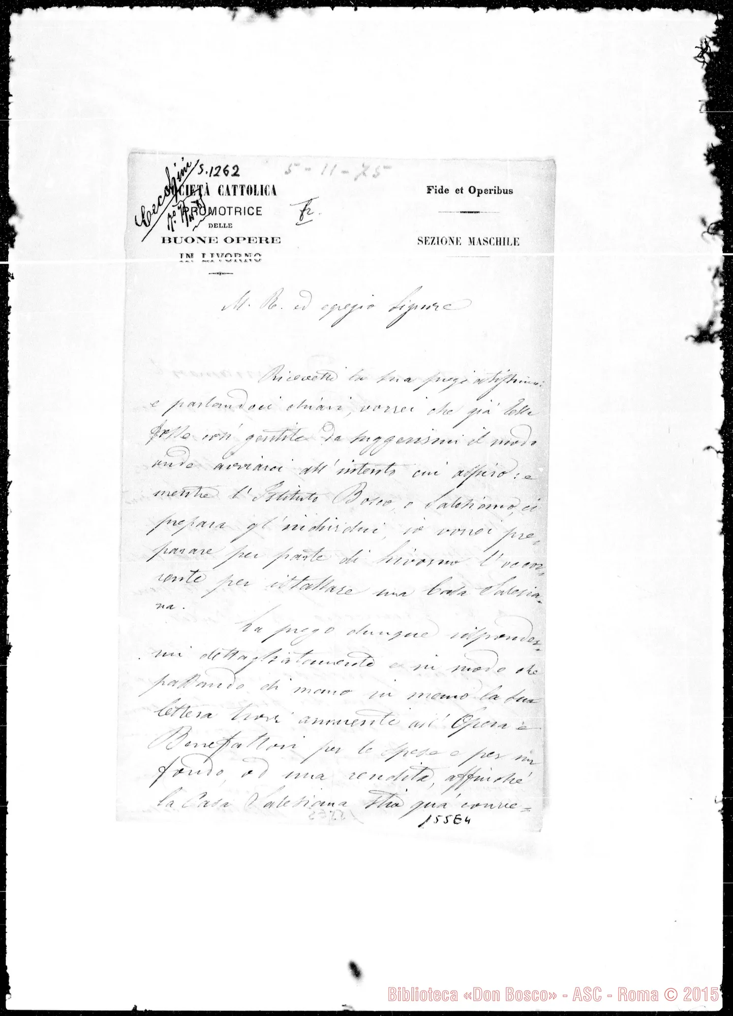 Fotogramma E 4 — Livorno: Corrispond.: Attilio Cecchini-Rev.do Signore