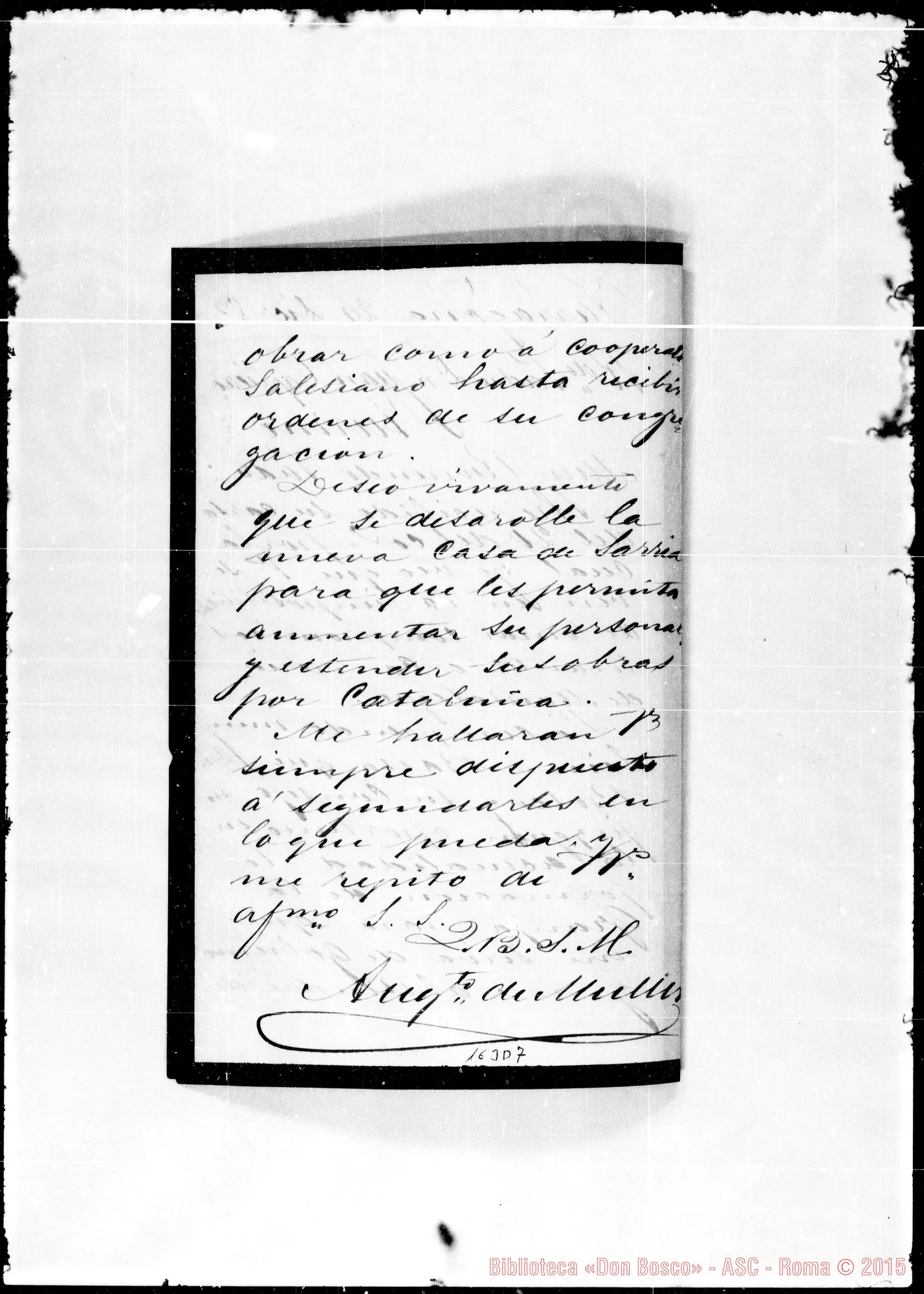 Fotogramma D 7 — Augusto de Muller-Cagliero