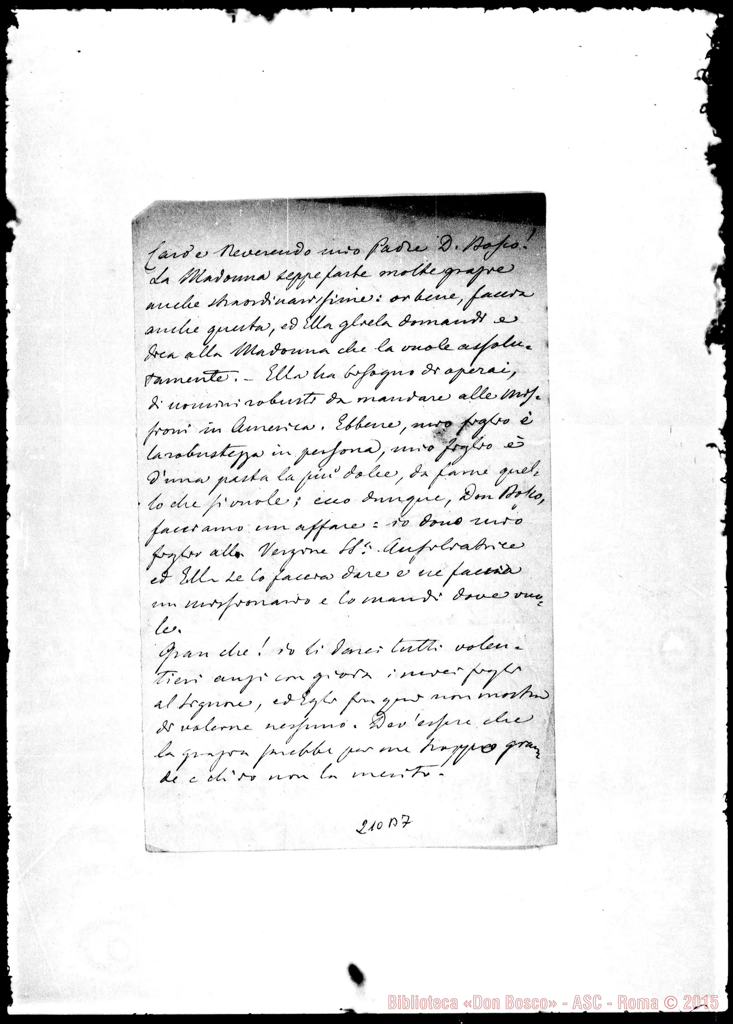 Fotogramma B 7 — Pietro Saccardo-Molto Rev.do Sig.