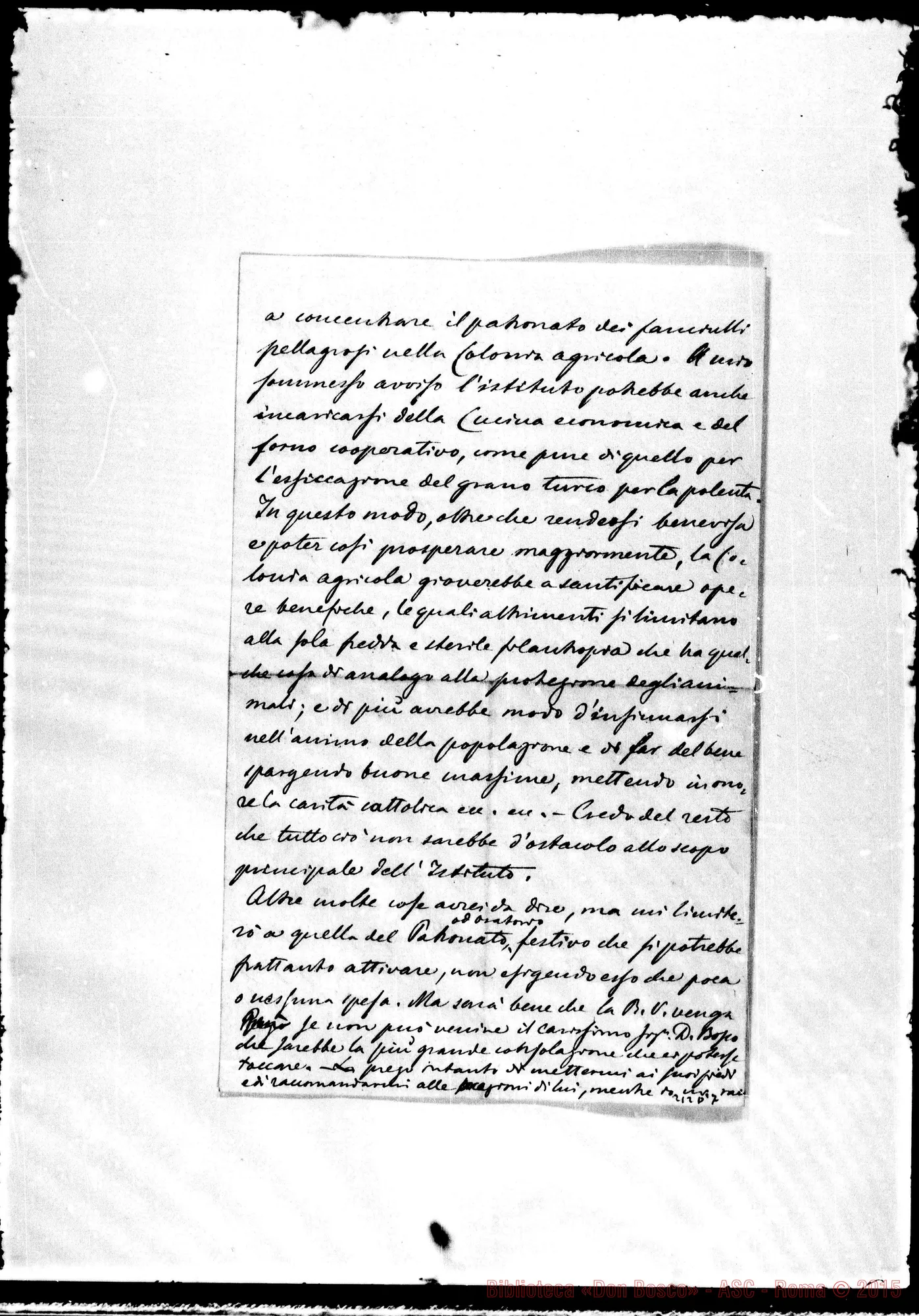 Fotogramma D 7 — Pietro Saccardo-Molto Rev.do Sig.