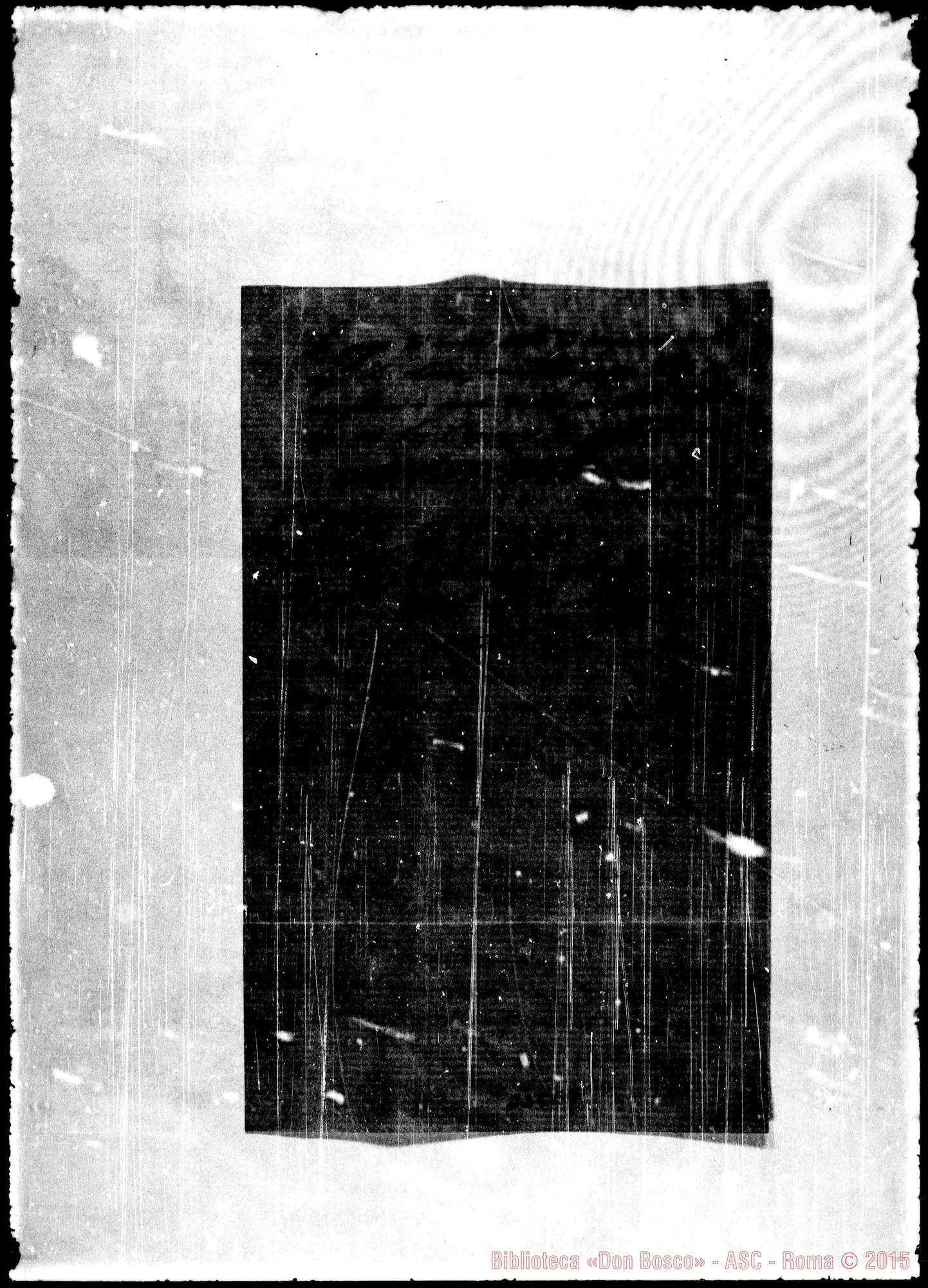 Fotogramma E 7 — Magnone-lll.mo Sig. Cav.