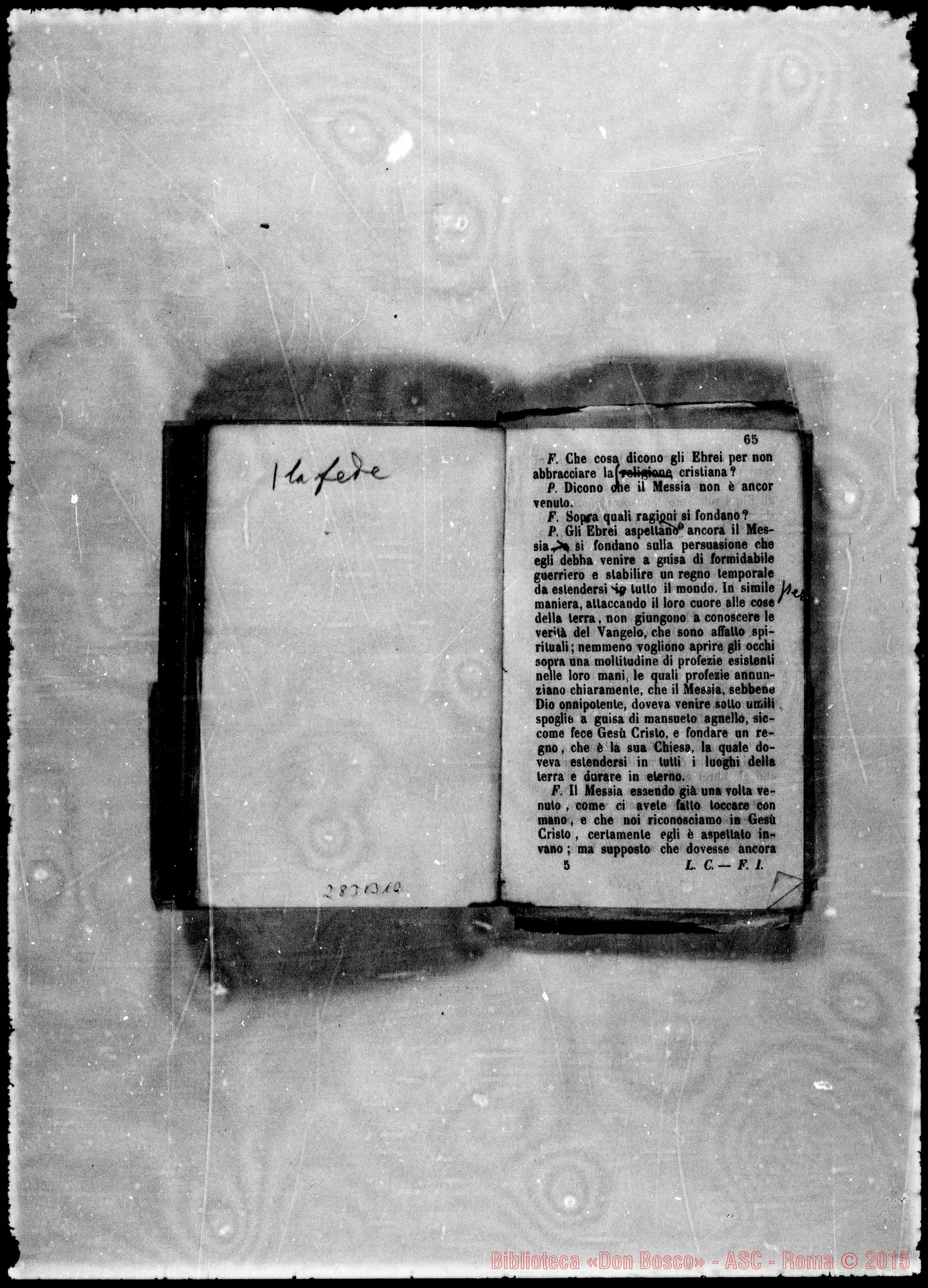 Fotogramma B 10