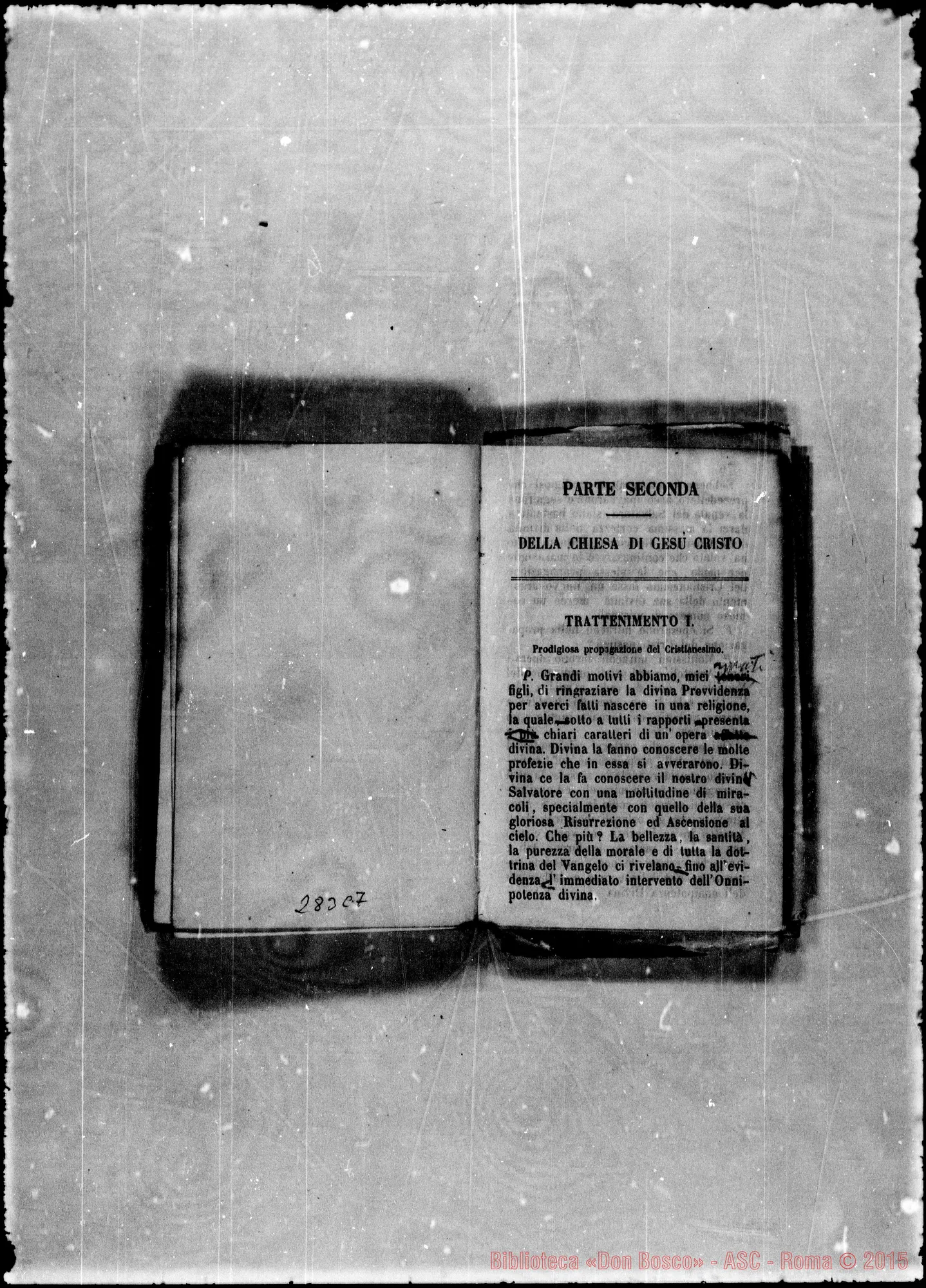 Fotogramma C 7