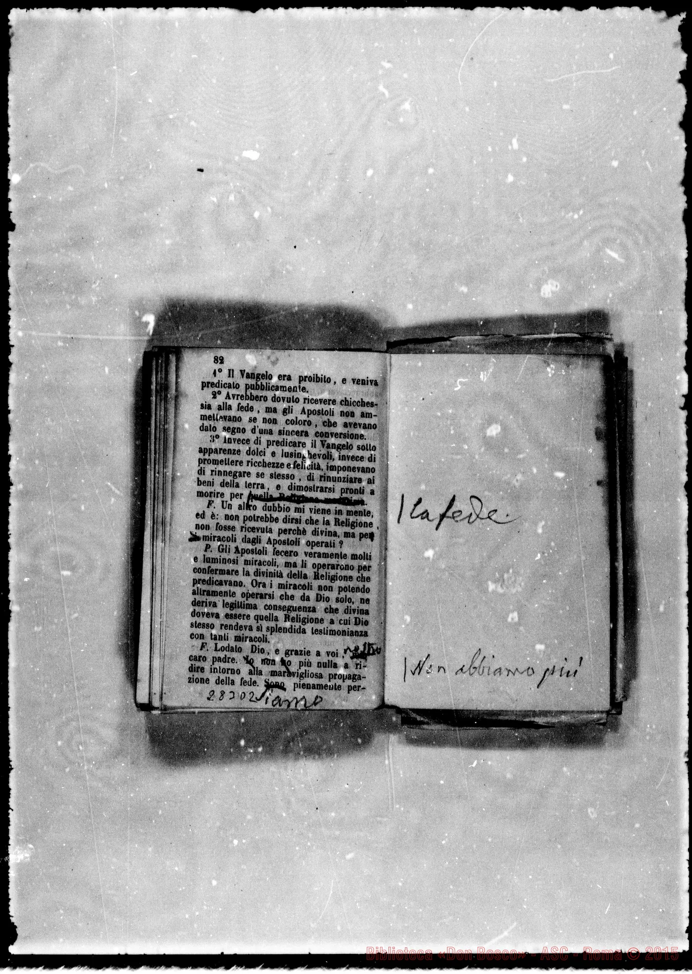 Fotogramma D 2