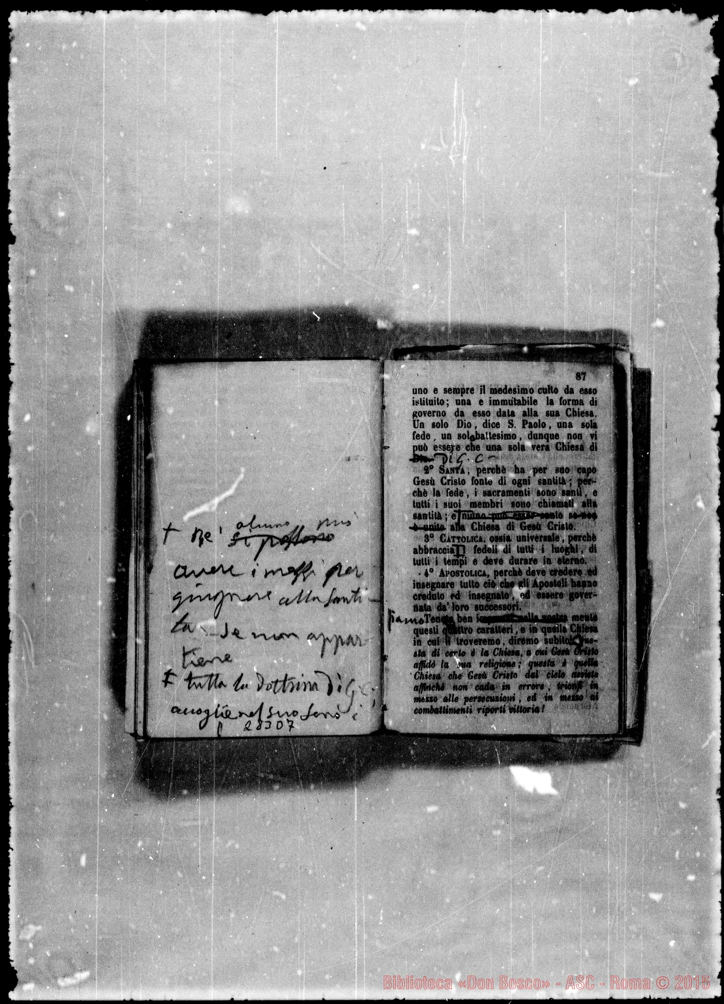 Fotogramma D 7