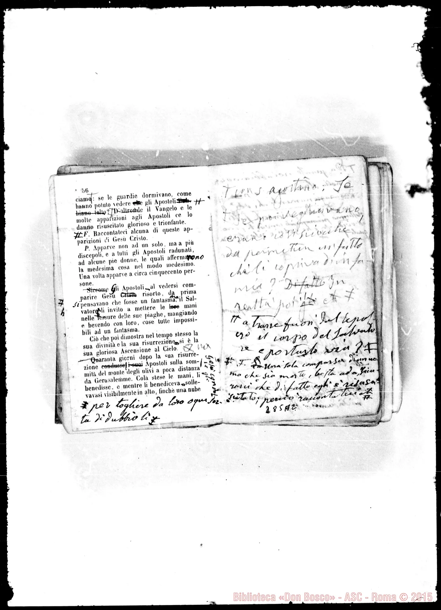 Fotogramma A 2