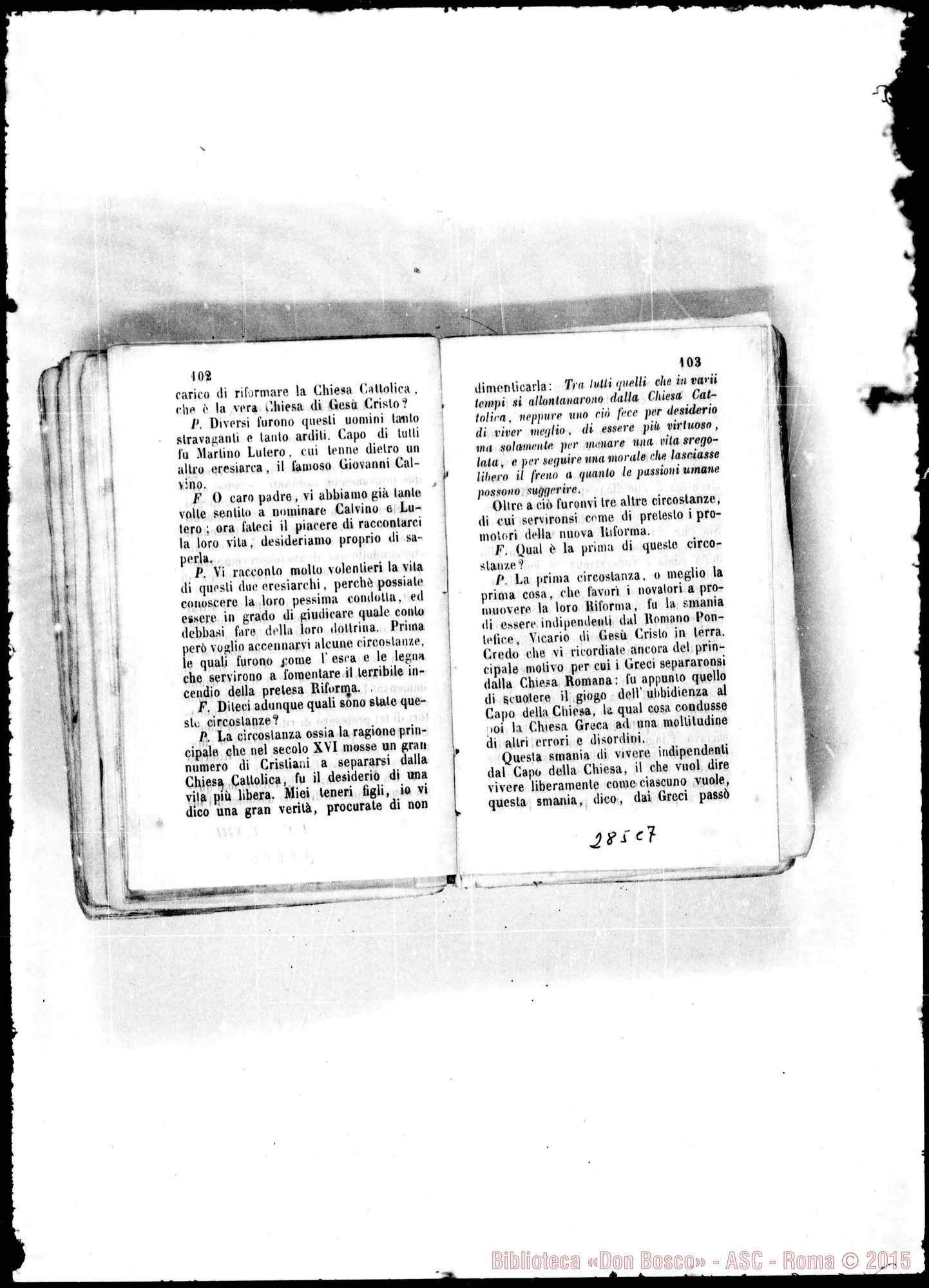 Fotogramma C 7
