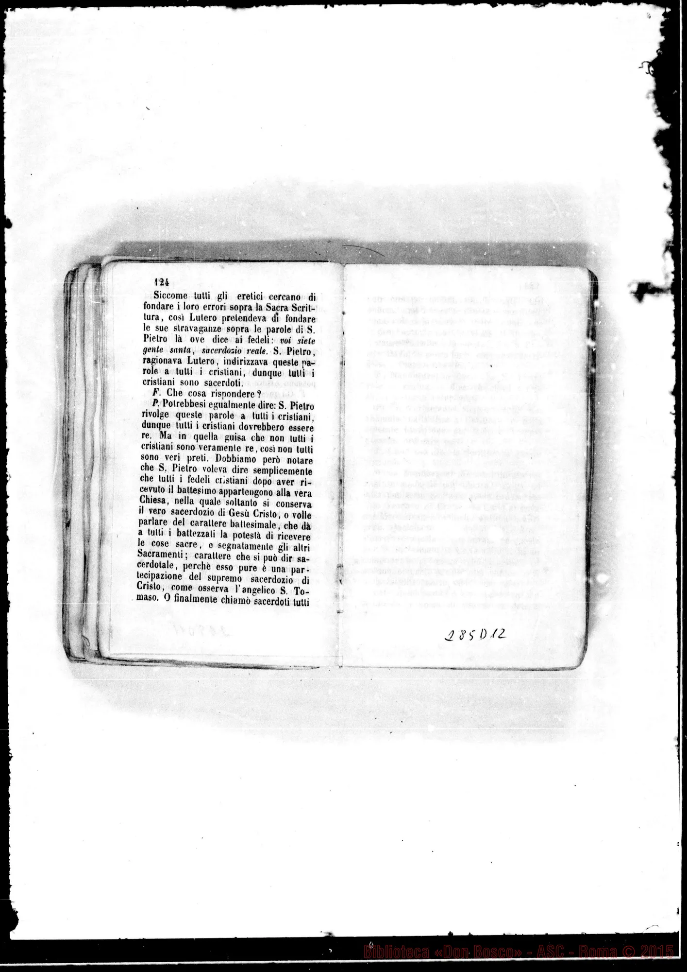 Fotogramma D 12