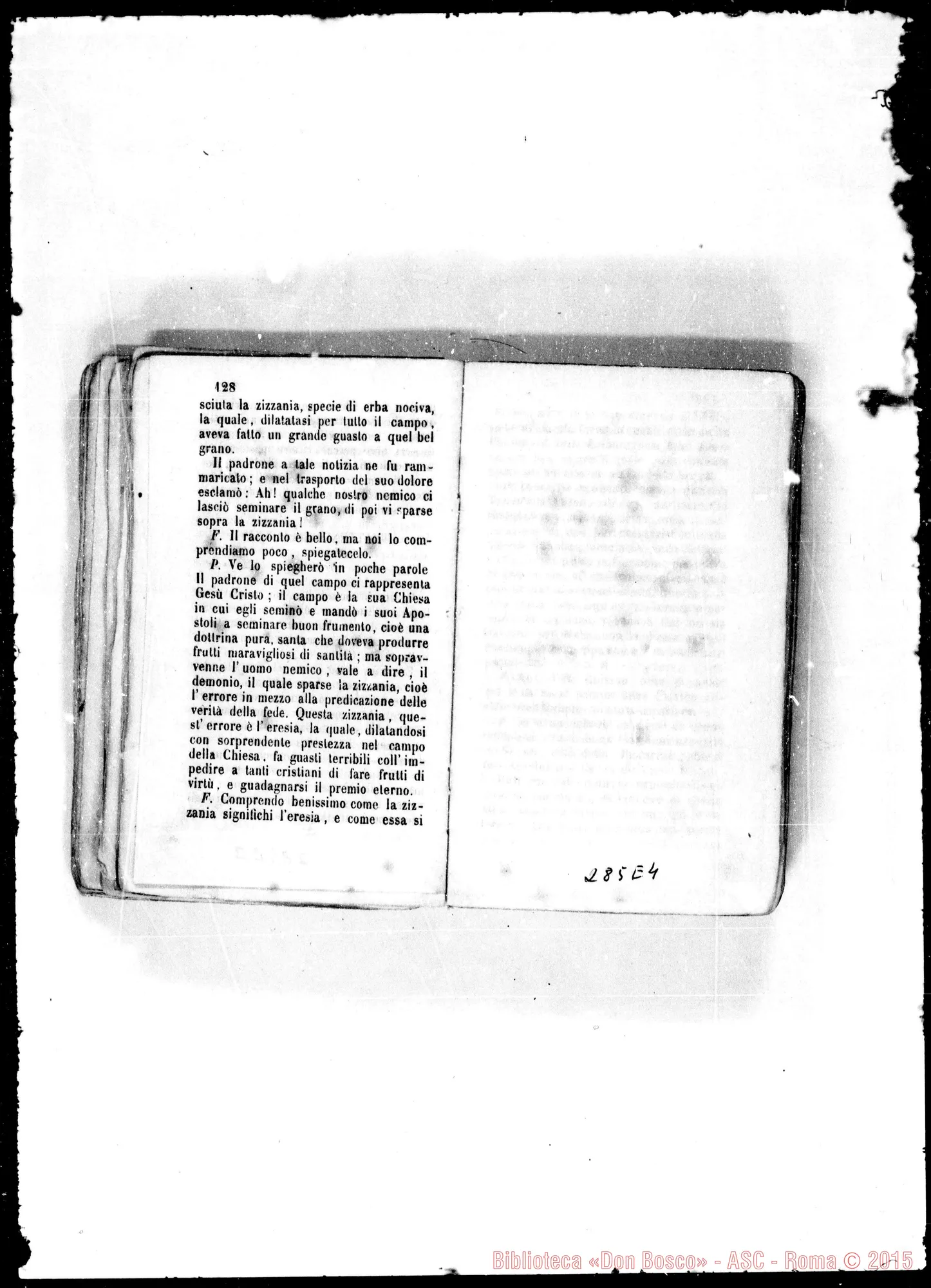 Fotogramma E 4