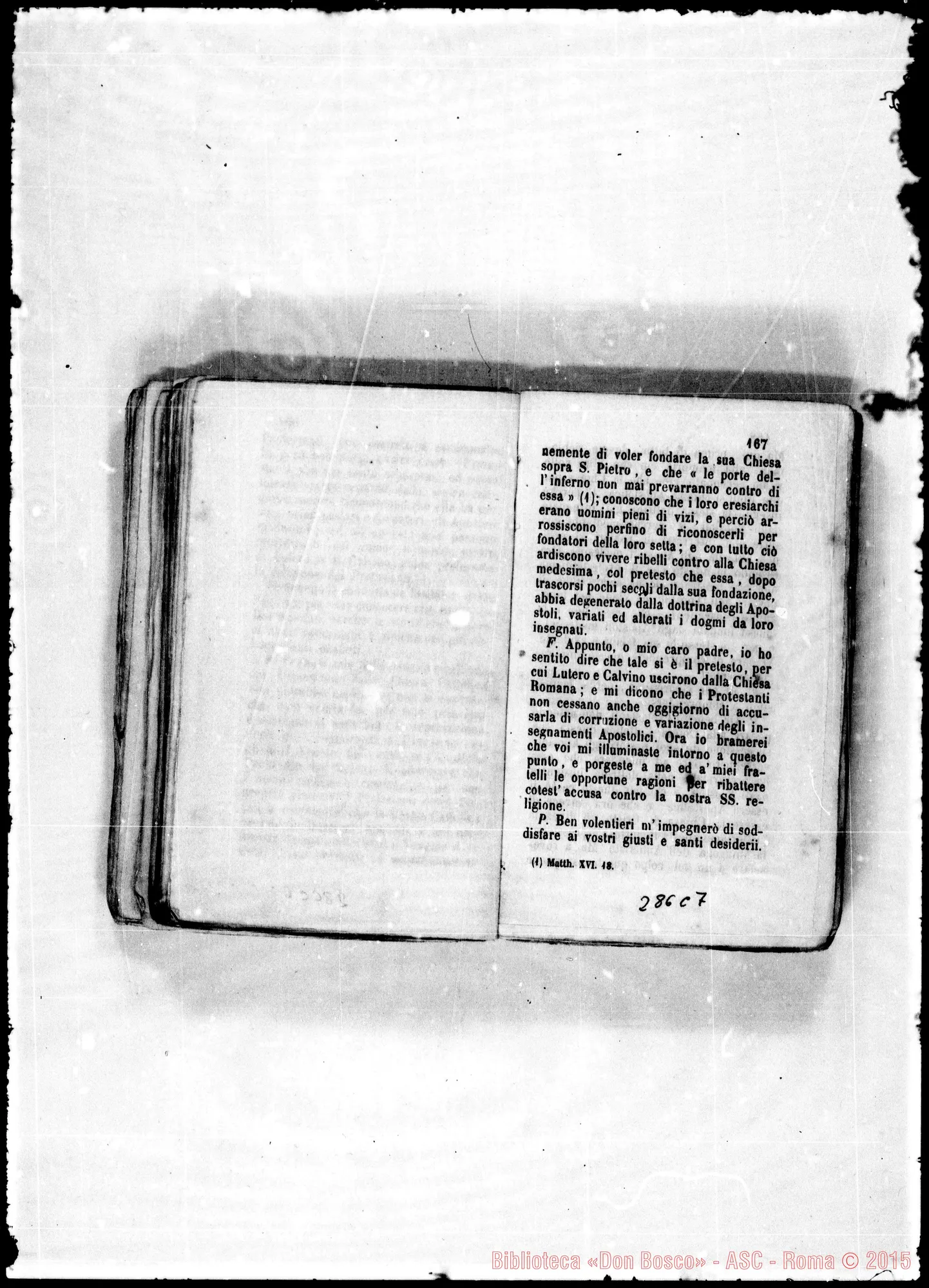 Fotogramma C 7
