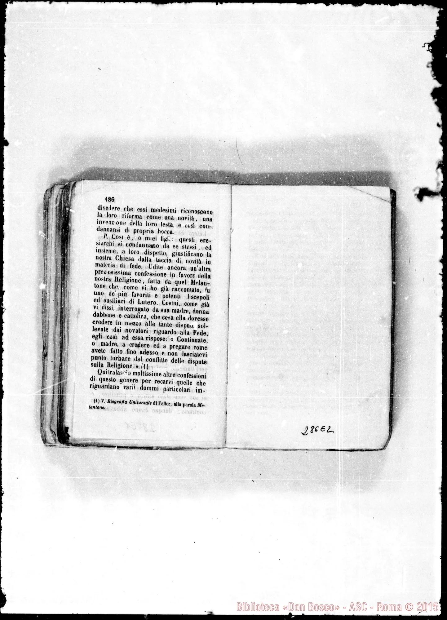 Fotogramma E 2
