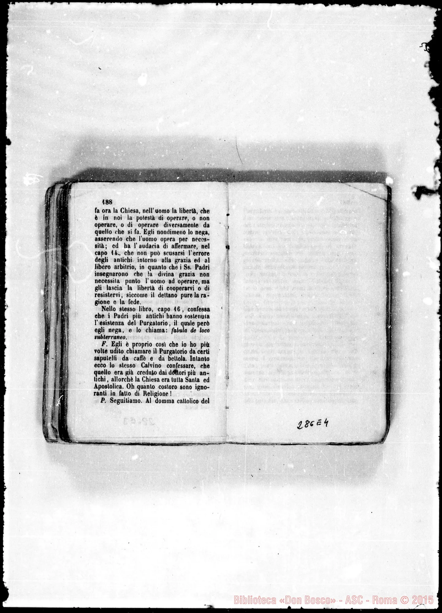 Fotogramma E 4