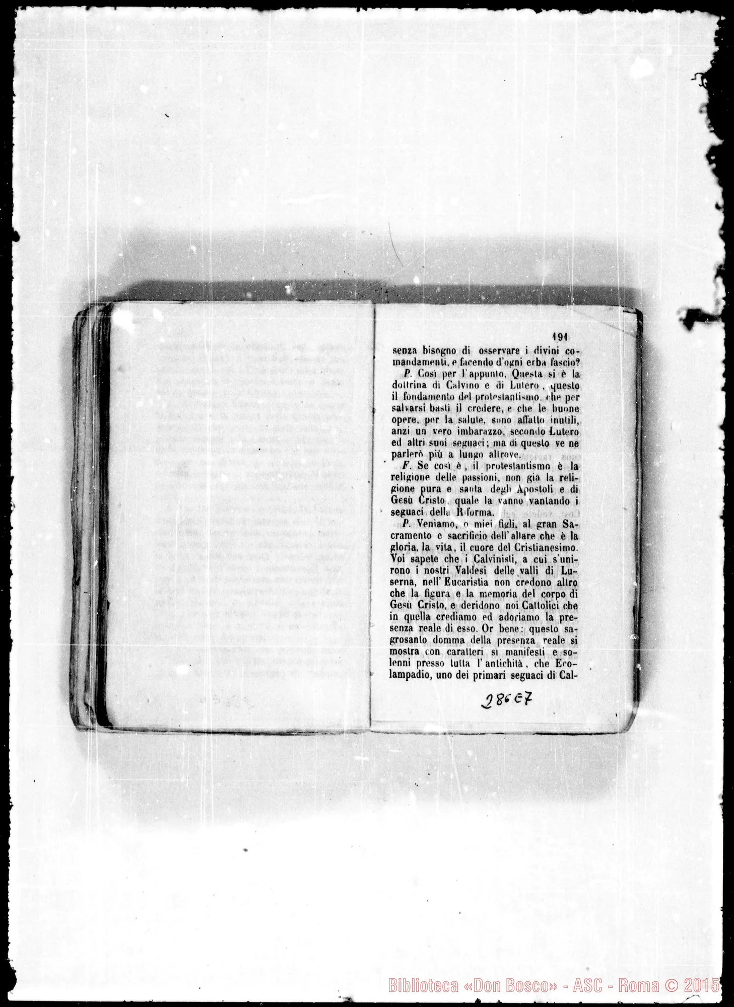 Fotogramma E 7