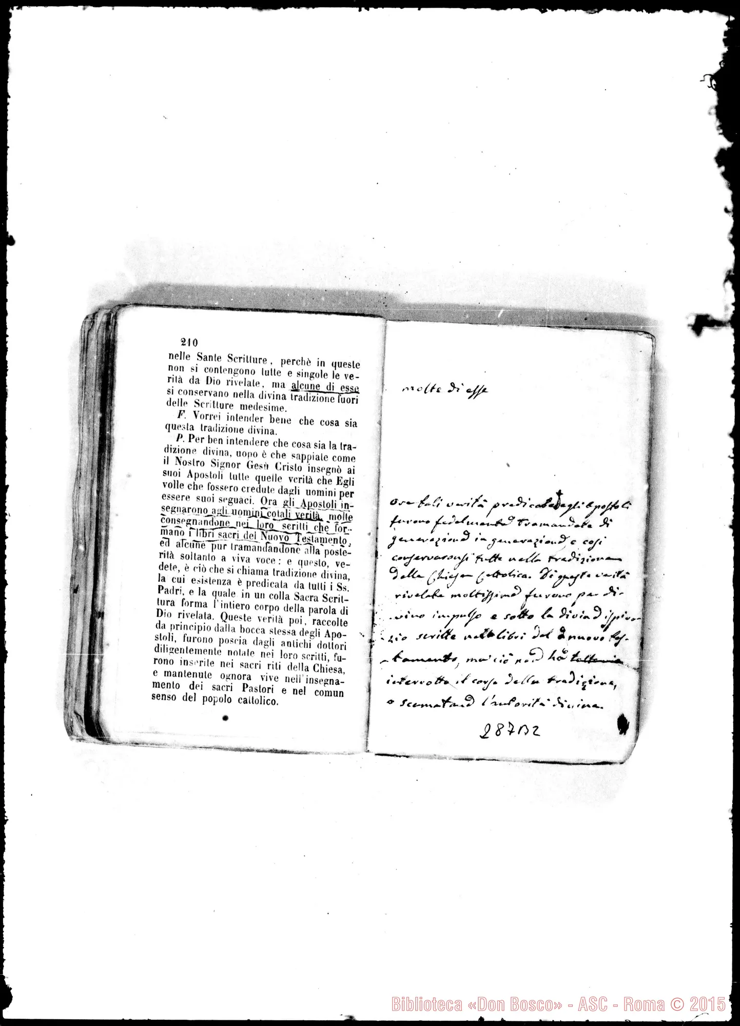 Fotogramma B 2