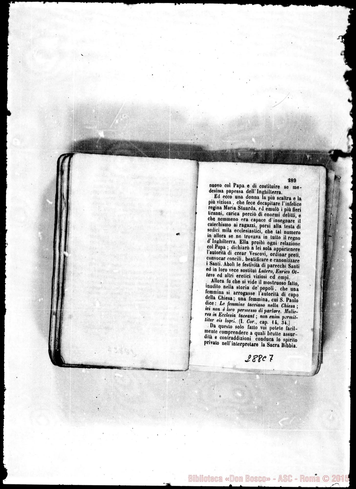 Fotogramma C 7