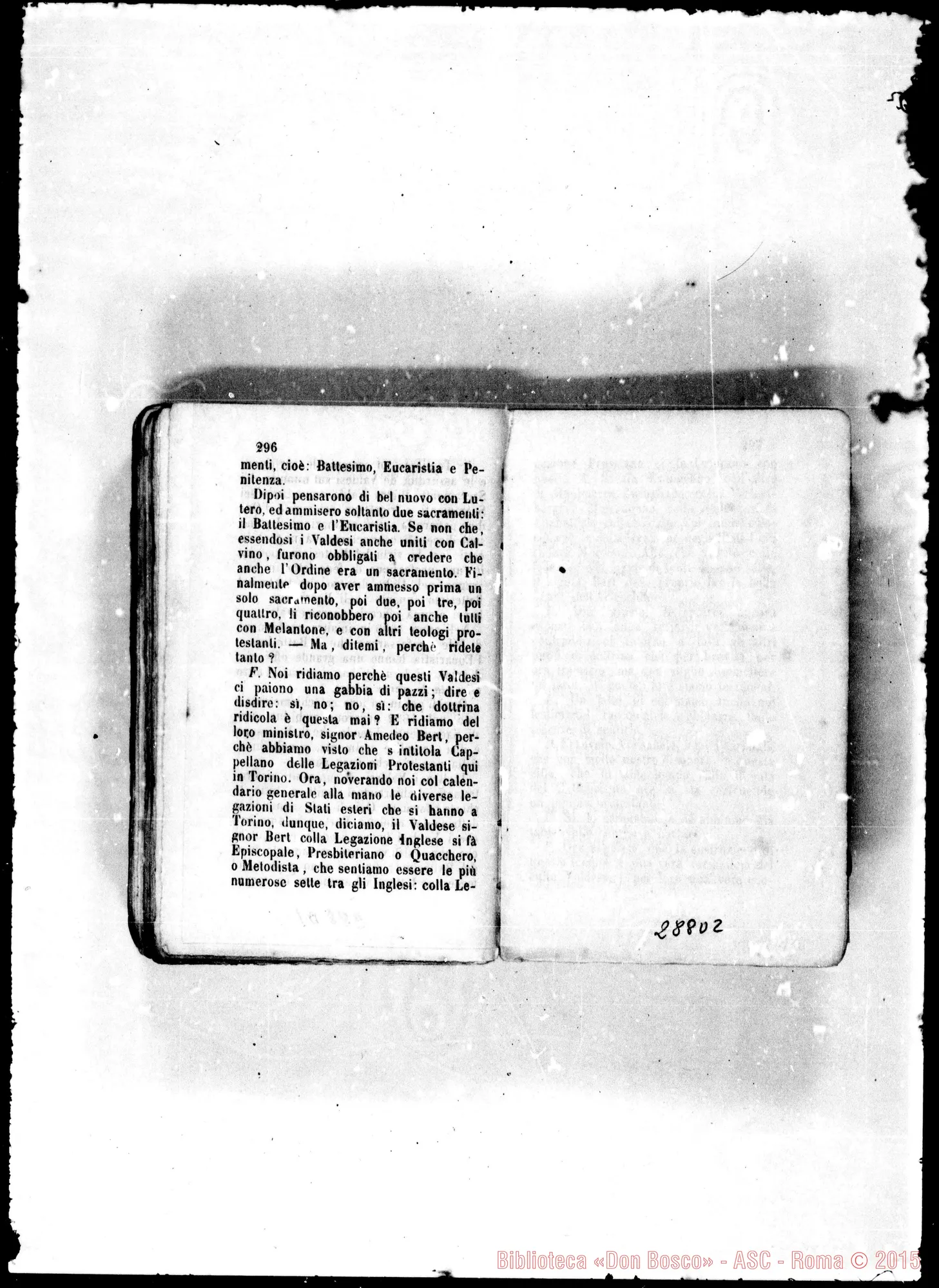 Fotogramma D 2
