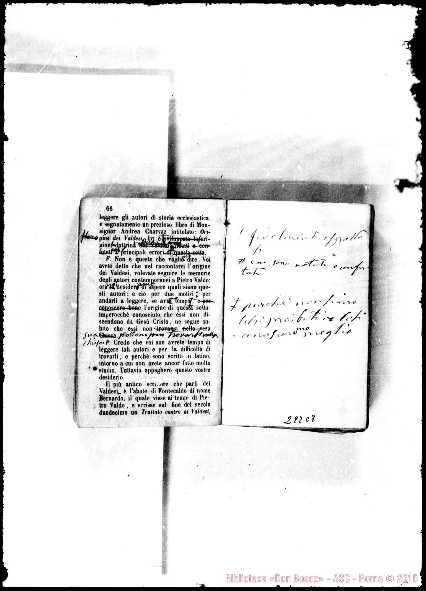 Fotogramma C 7