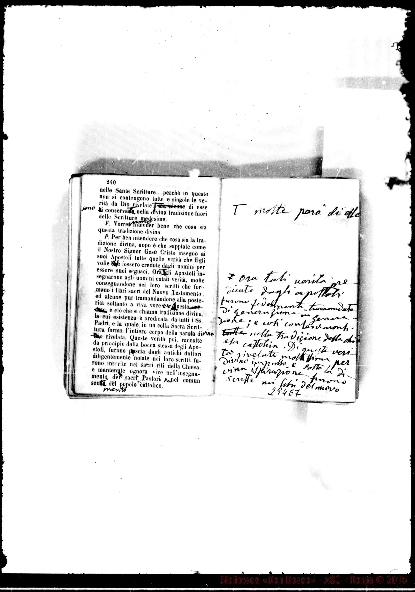 Fotogramma E 7