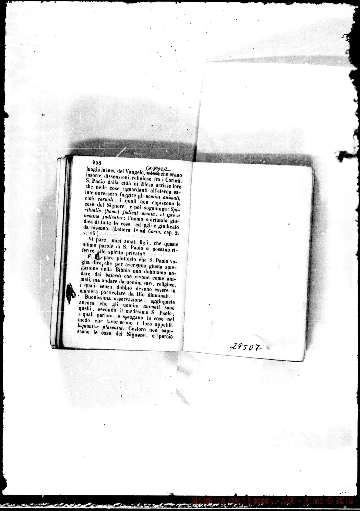 Fotogramma D 7