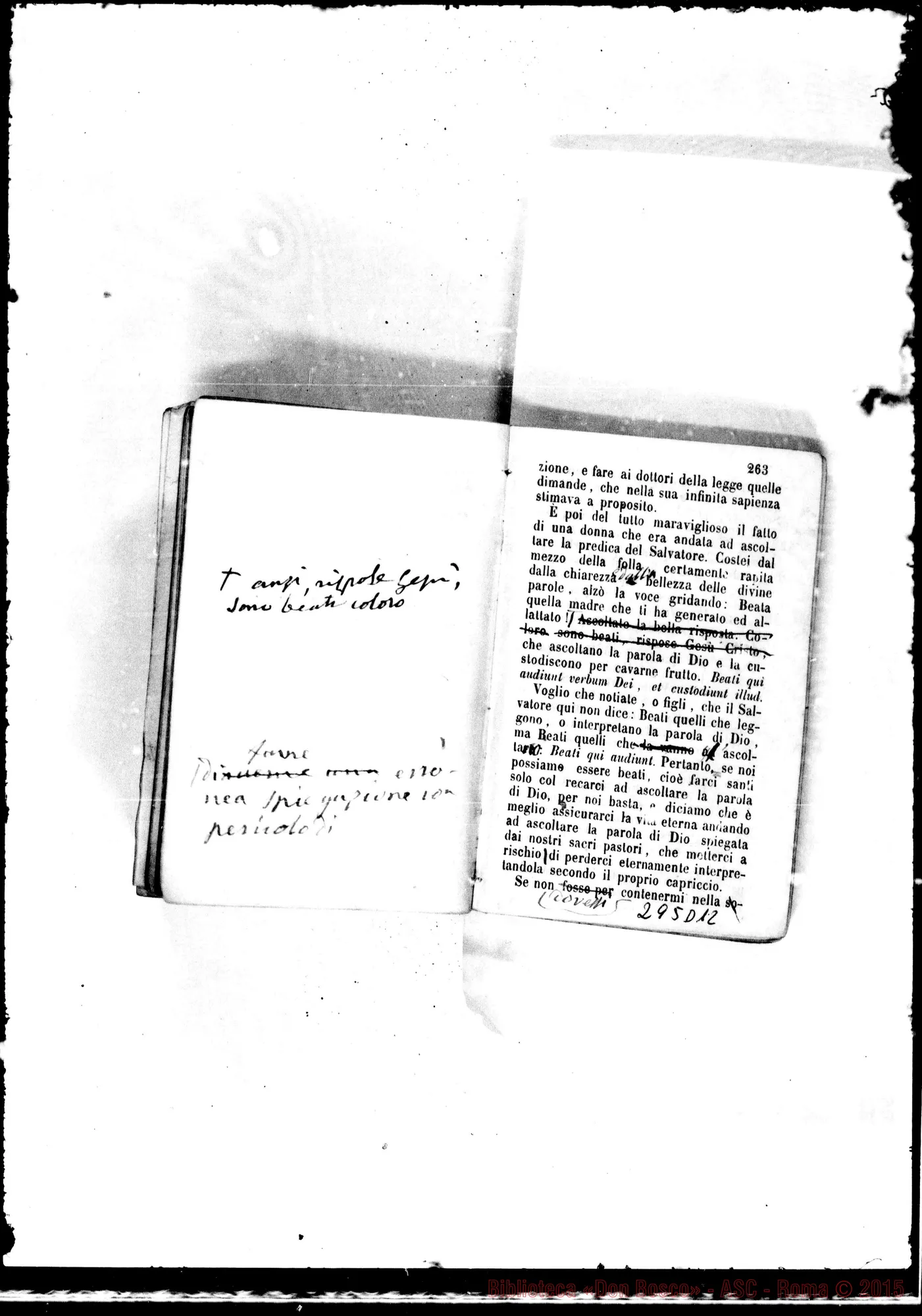 Fotogramma D 12