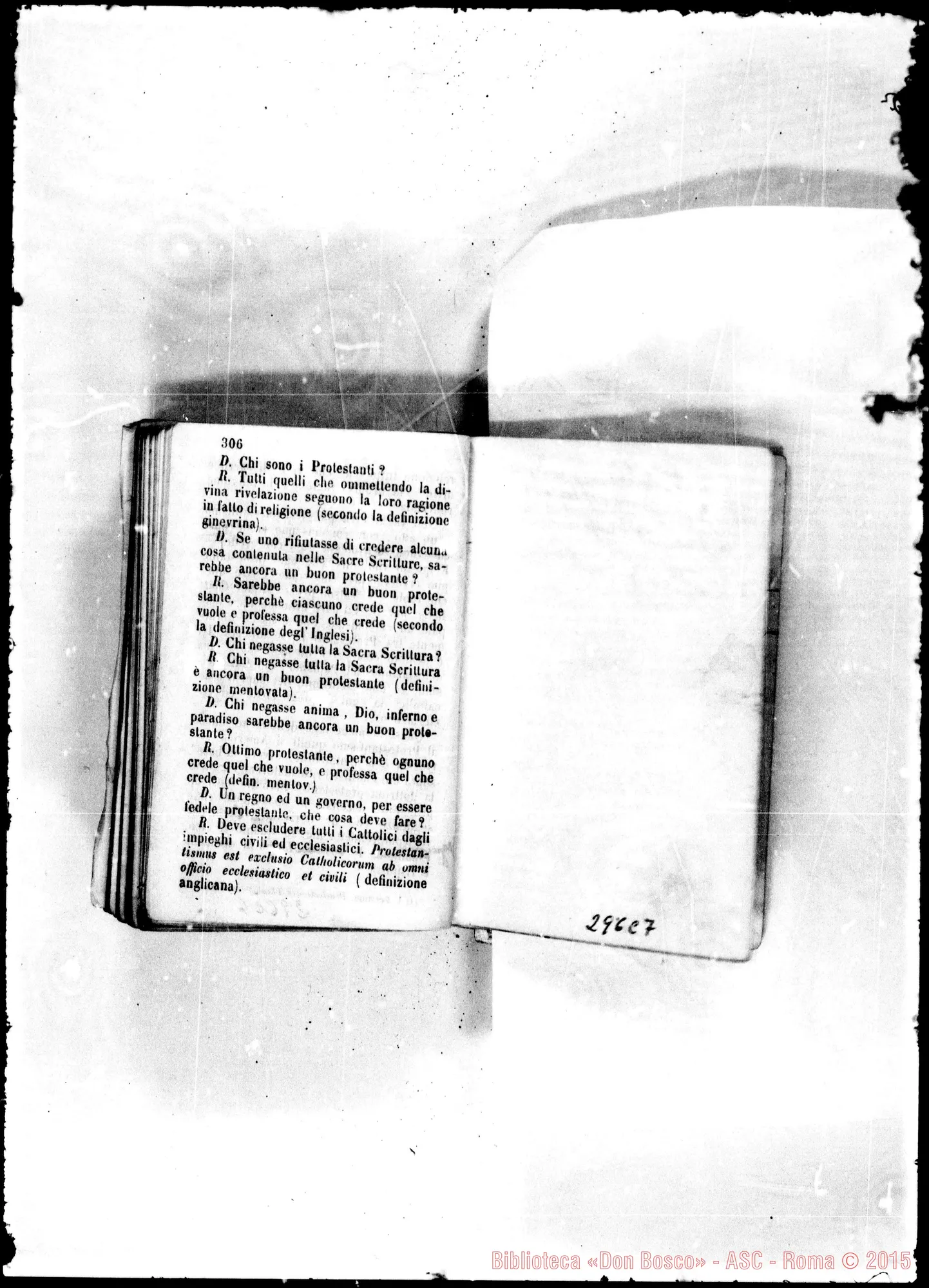 Fotogramma C 7