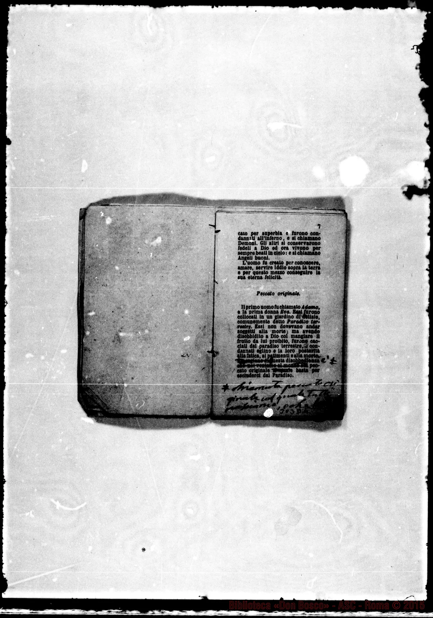 Fotogramma D 4 — Bozze per nuova ed. Stampato con correz. Bosco