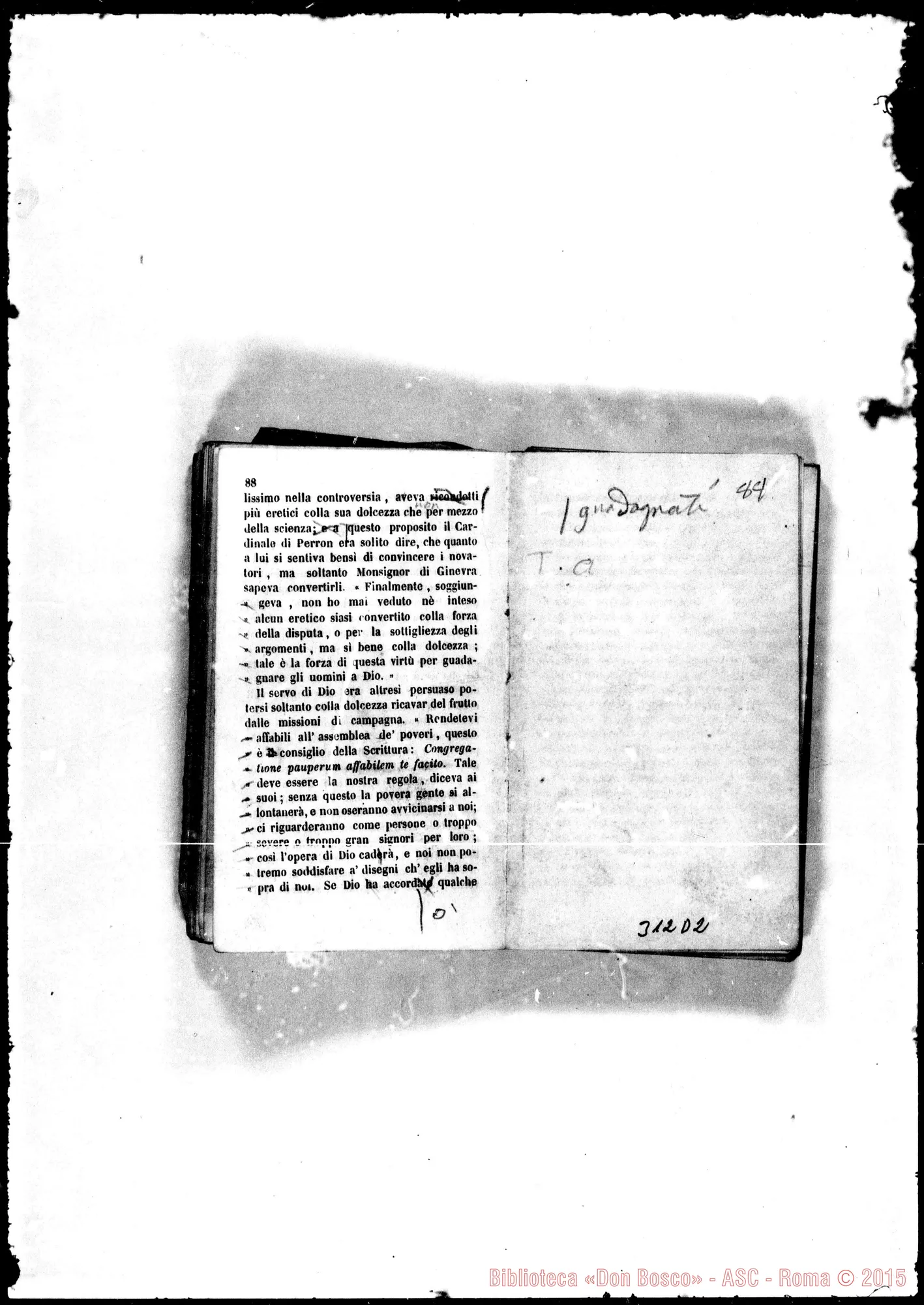 Fotogramma D 2