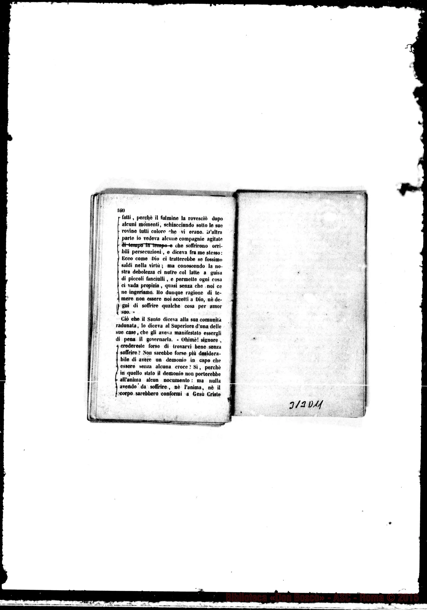 Fotogramma D 11