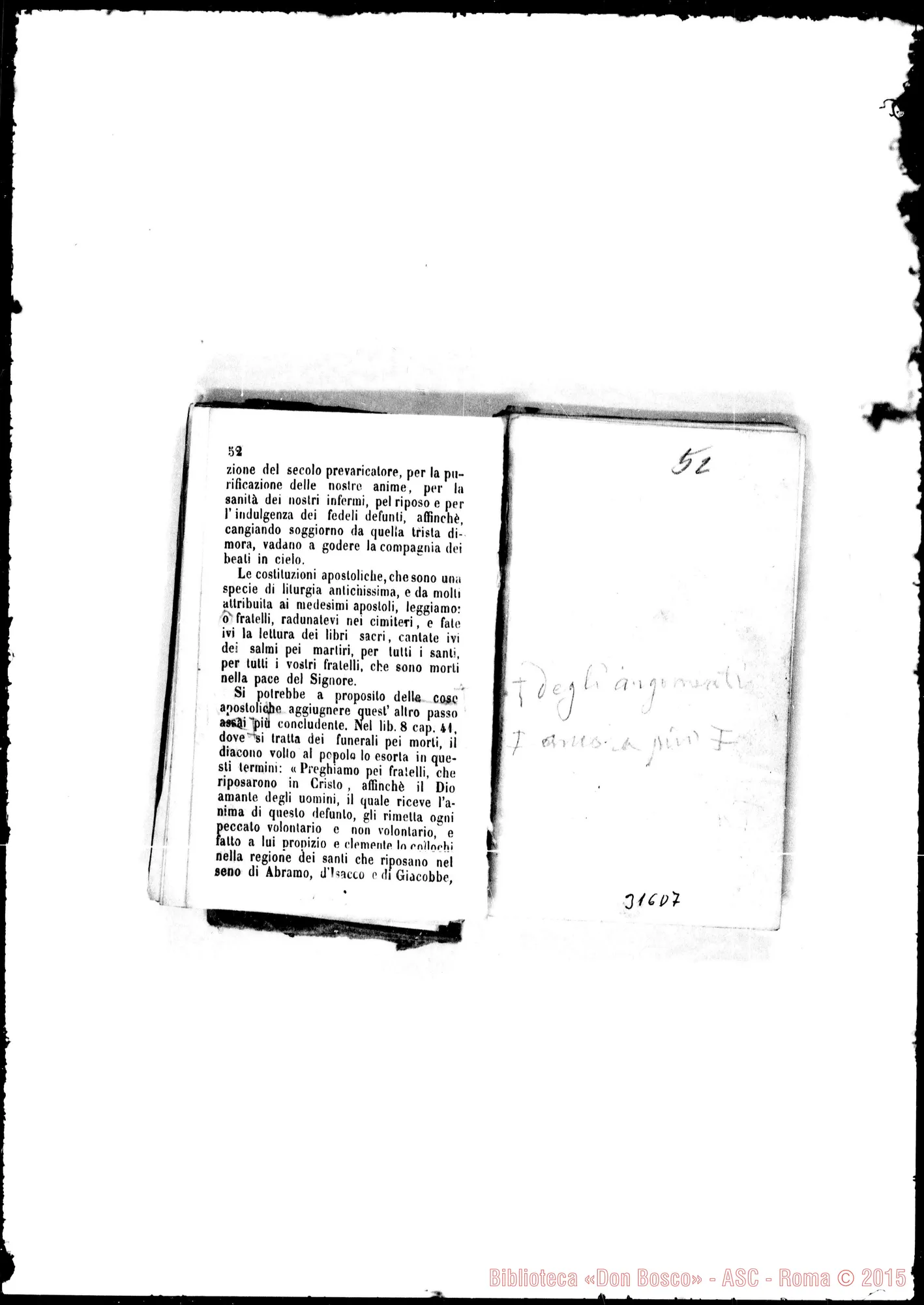 Fotogramma D 7