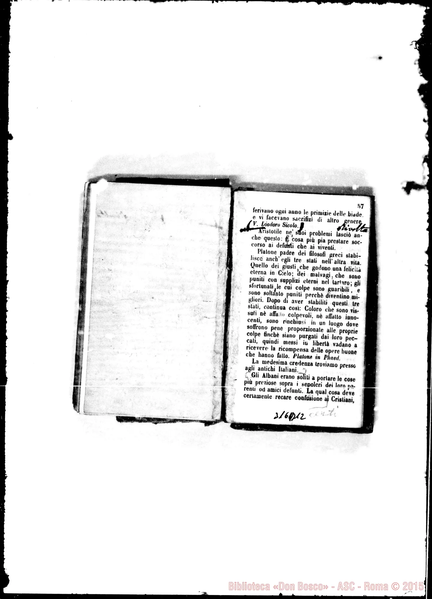 Fotogramma D 12