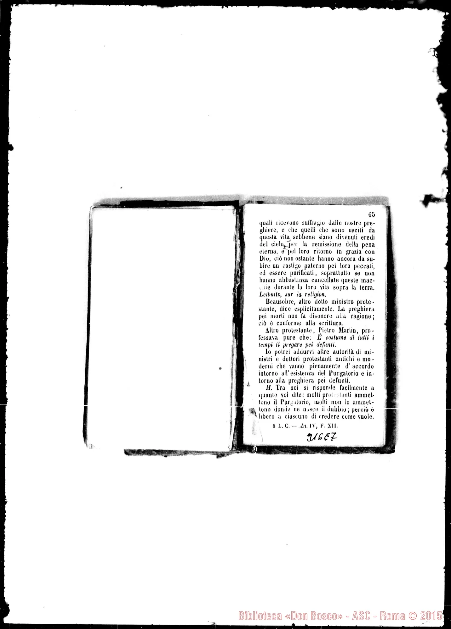 Fotogramma E 7