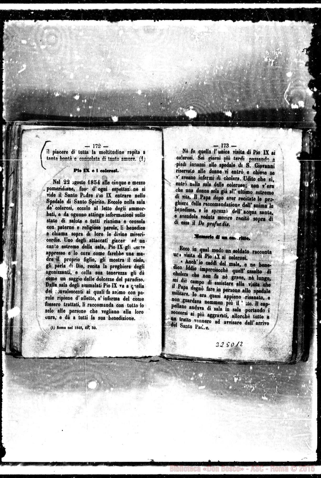 Fotogramma D 12