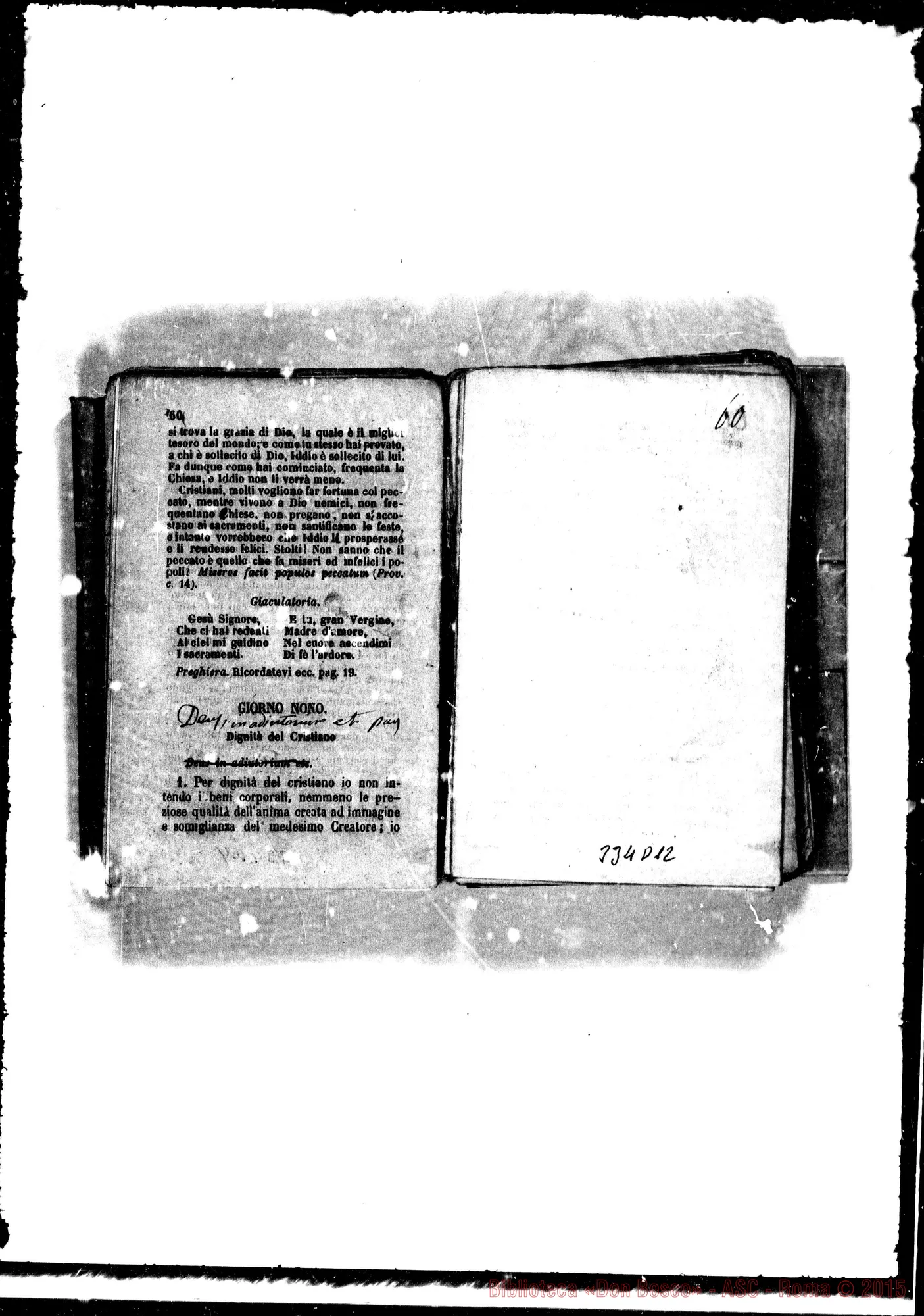Fotogramma D 12