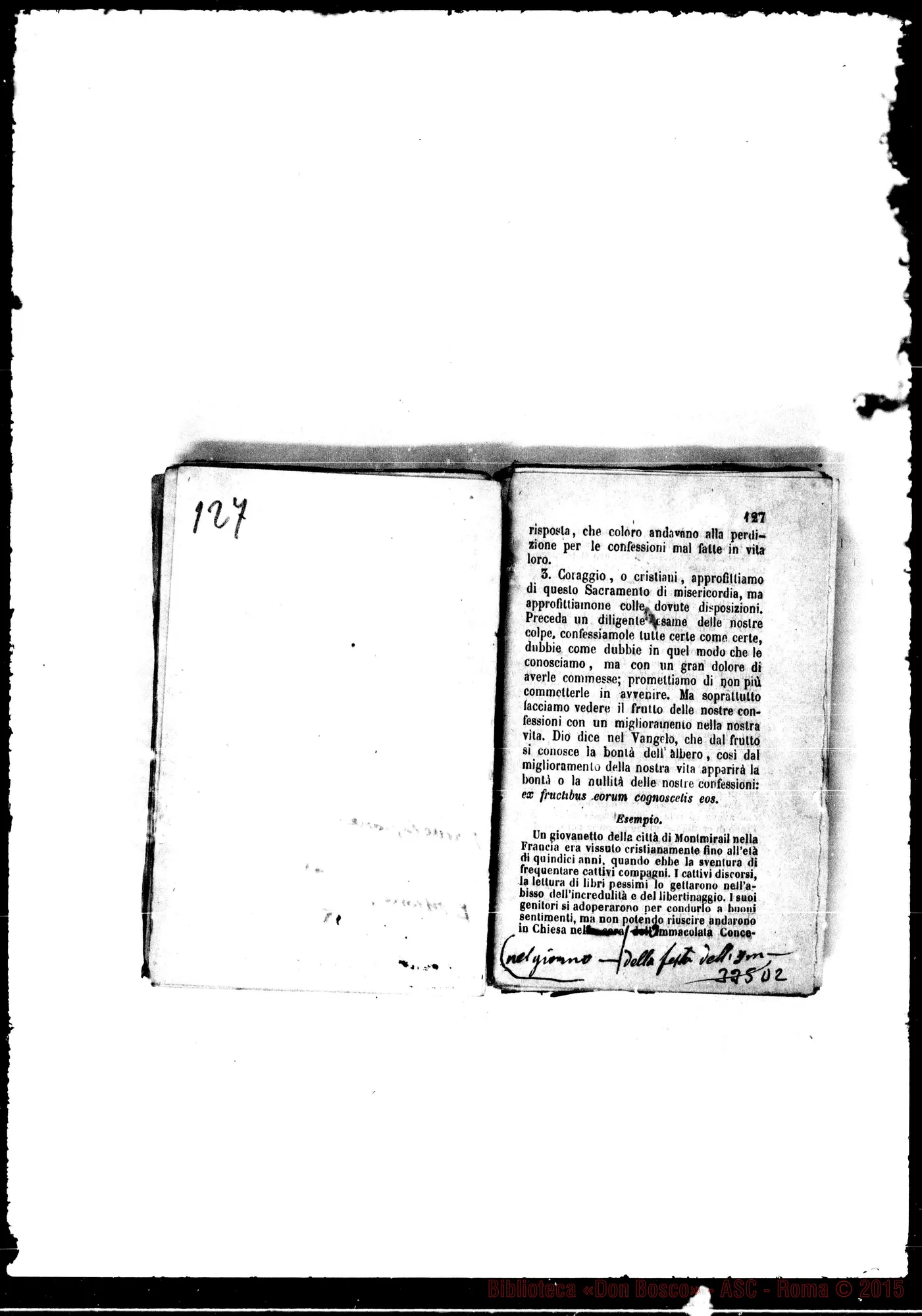 Fotogramma D 2
