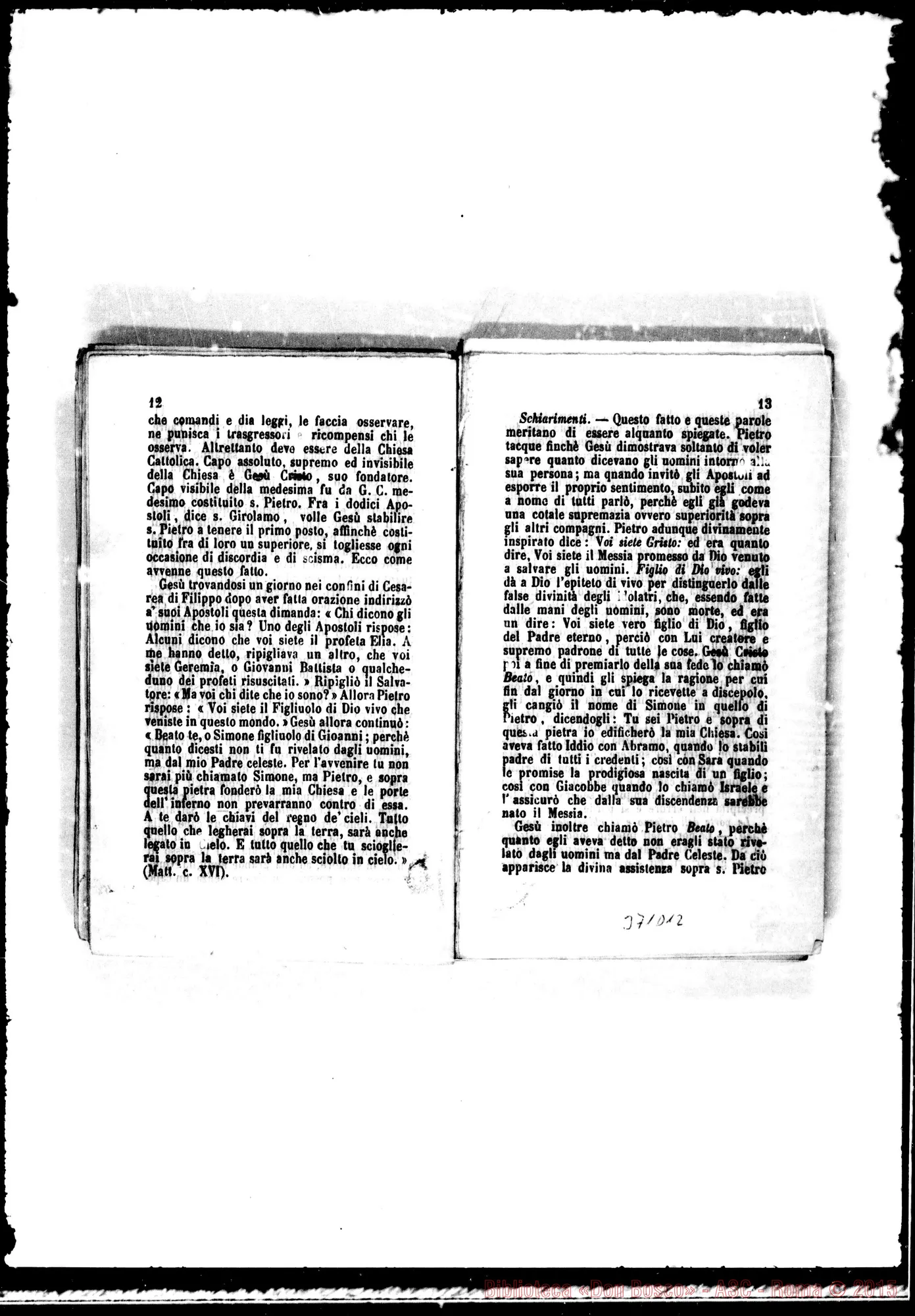 Fotogramma D 12
