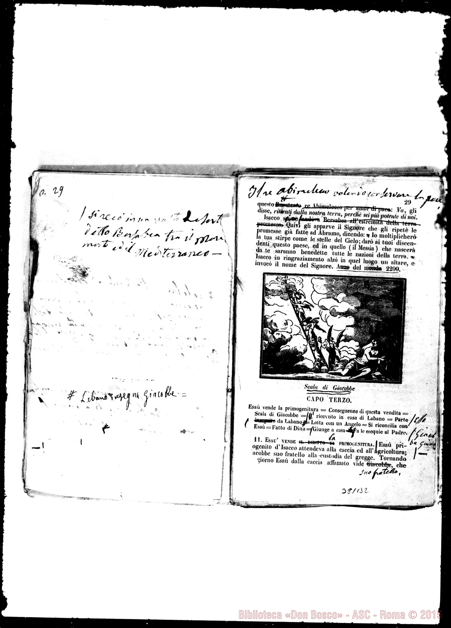 Fotogramma B 2