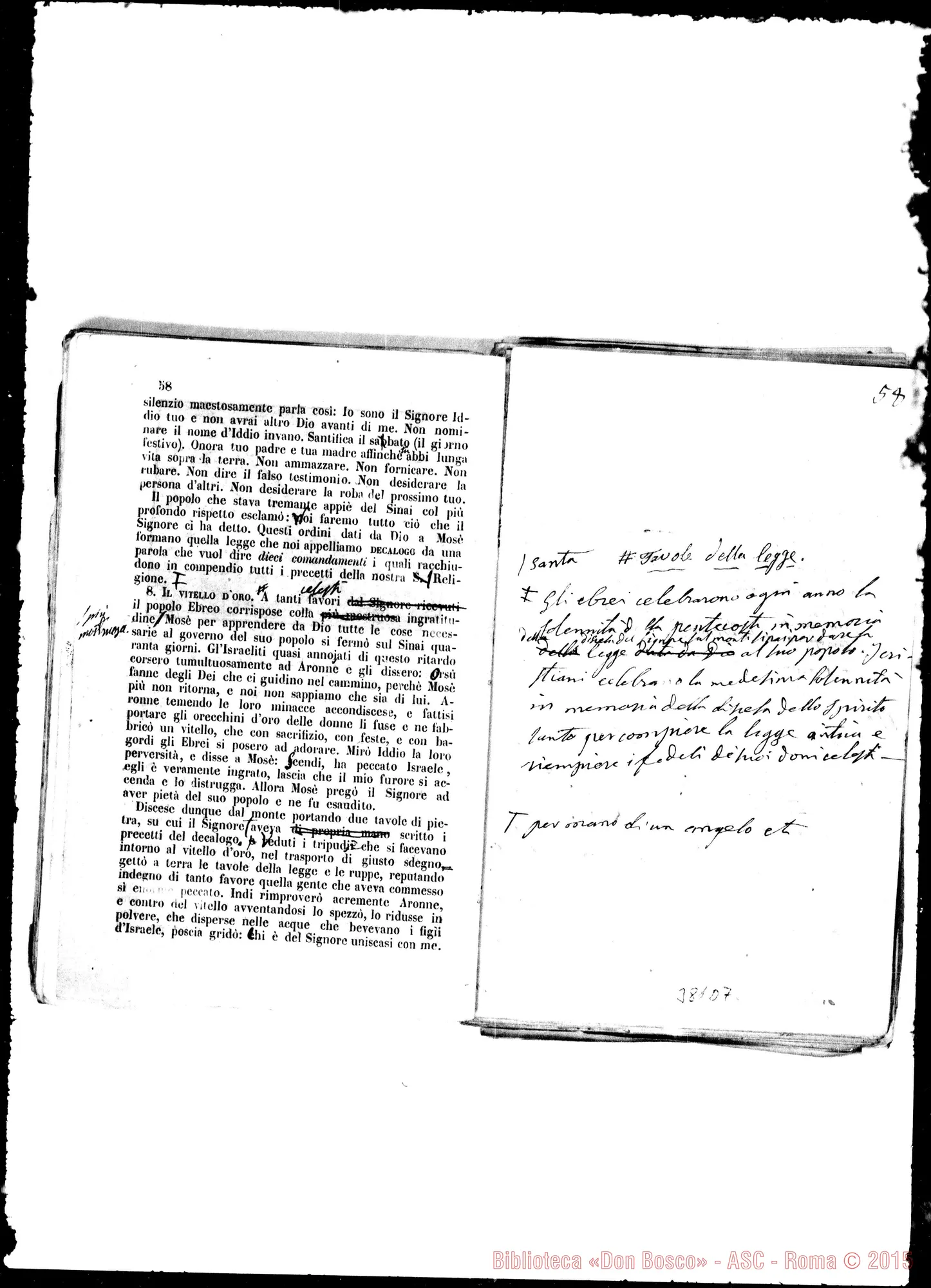 Fotogramma D 7