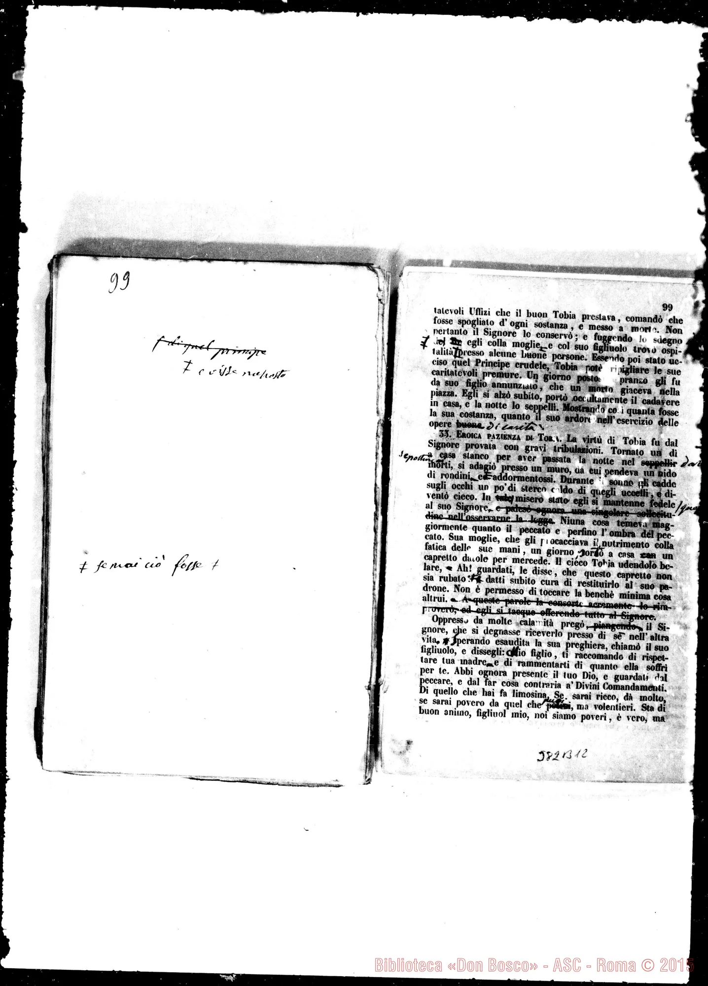Fotogramma B 12