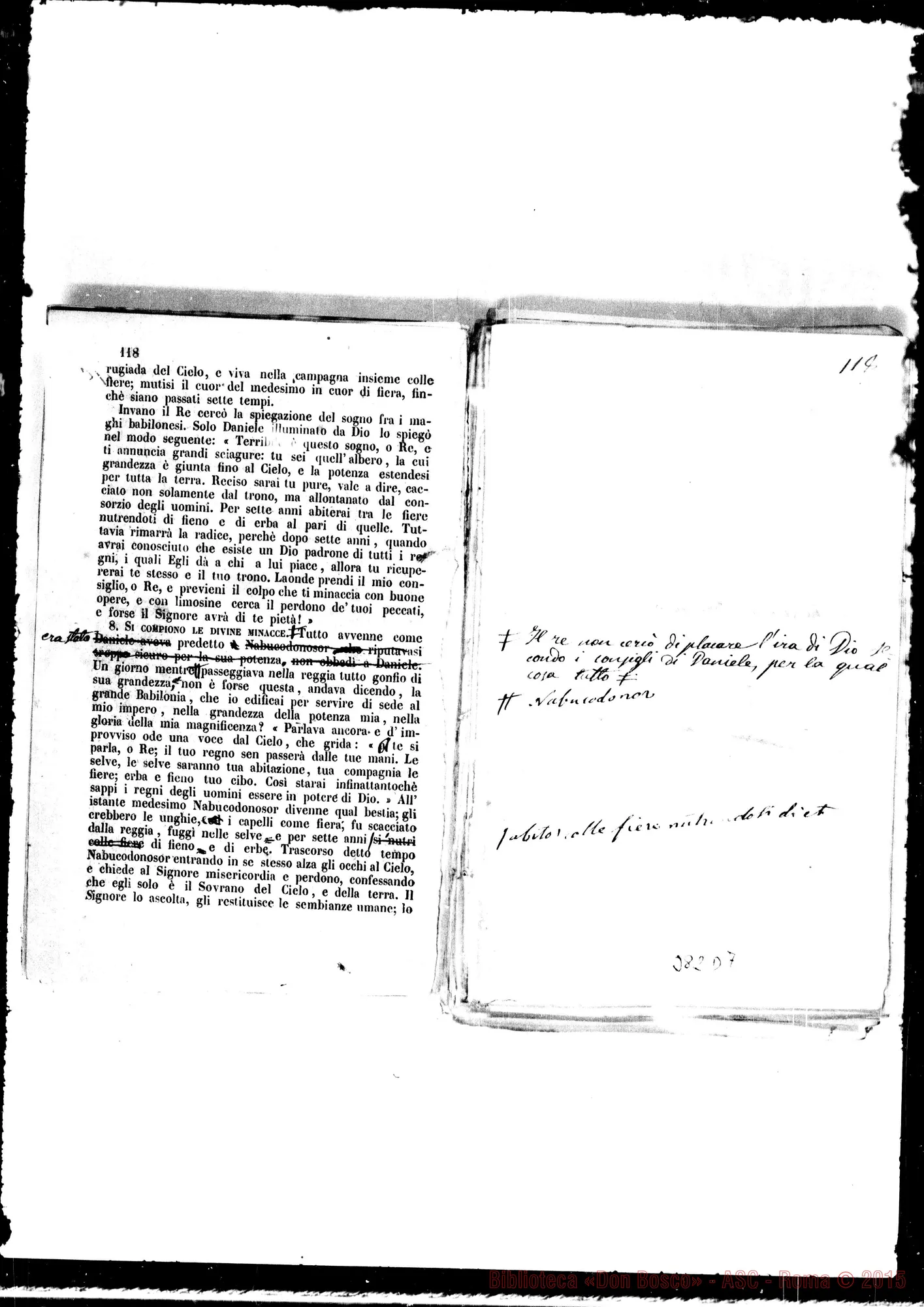 Fotogramma D 7