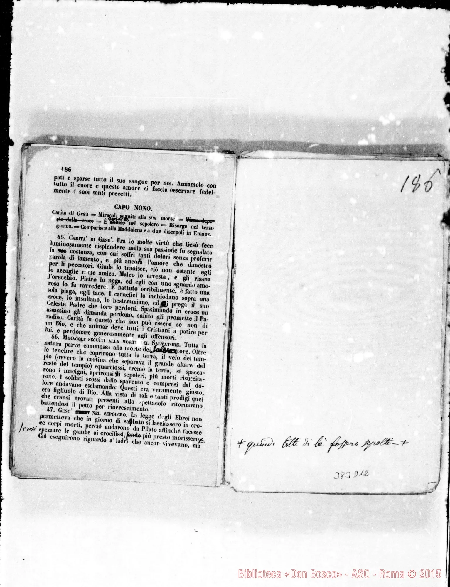 Fotogramma D 12