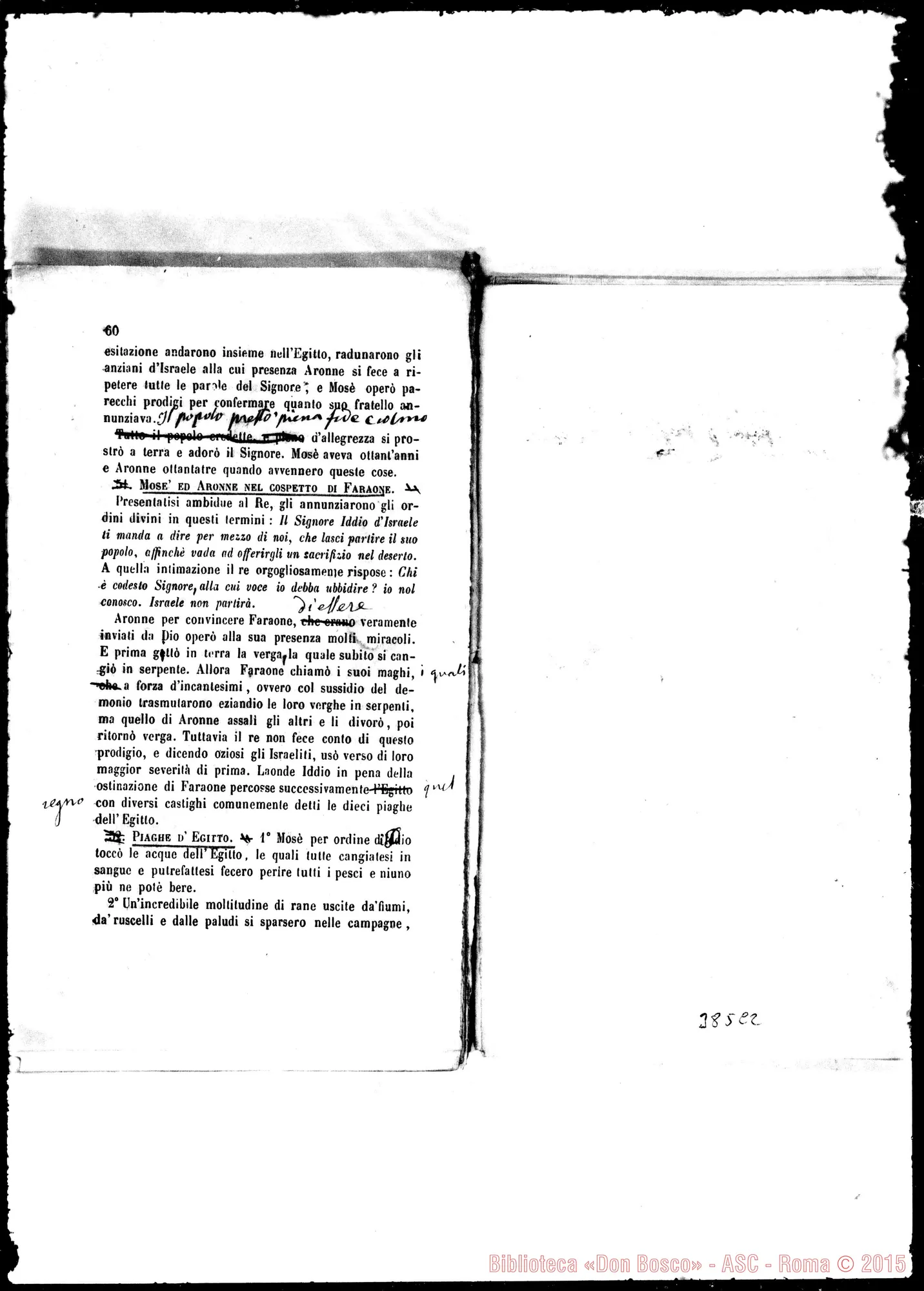 Fotogramma C 2