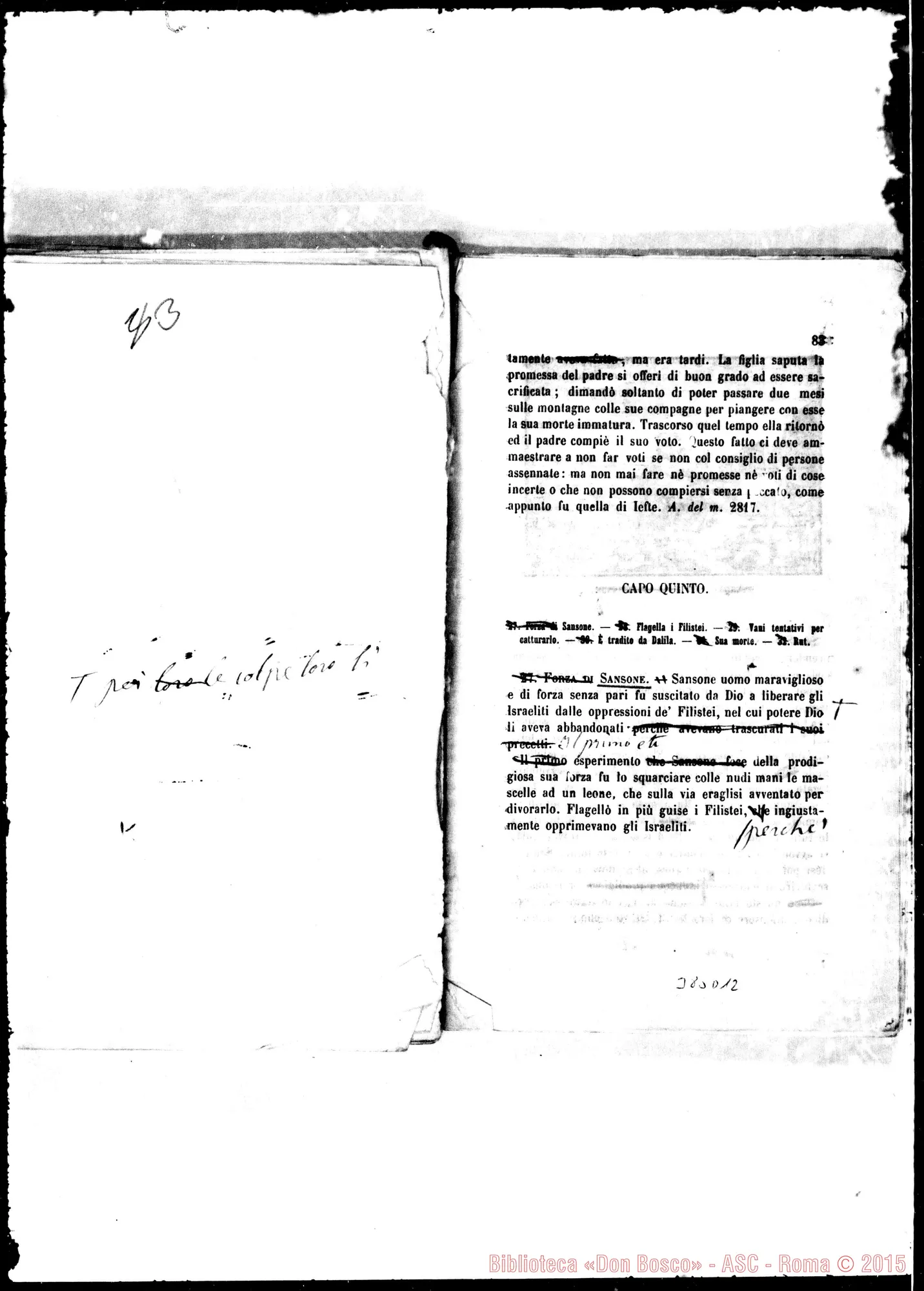 Fotogramma D 12