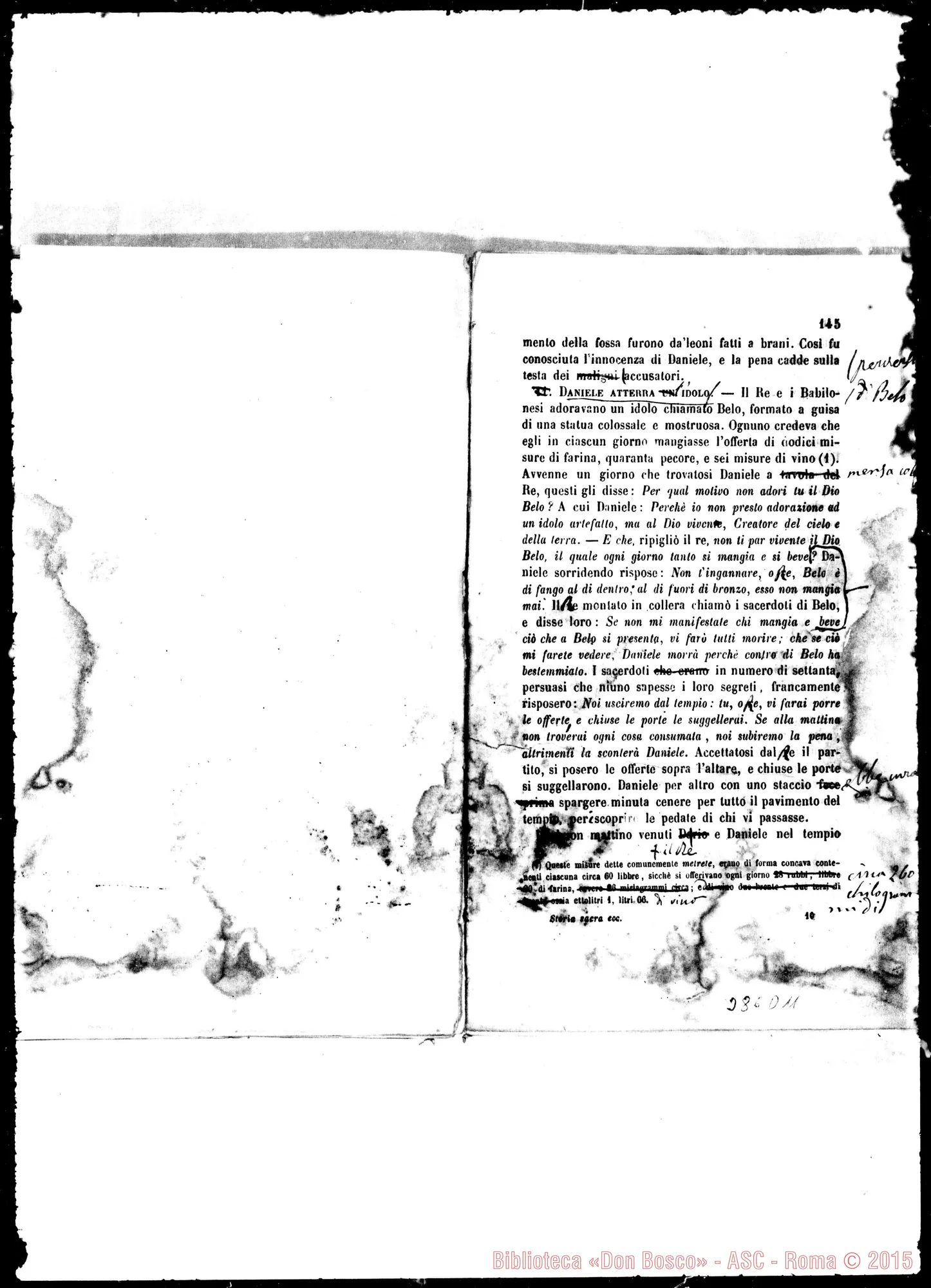 Fotogramma D 11
