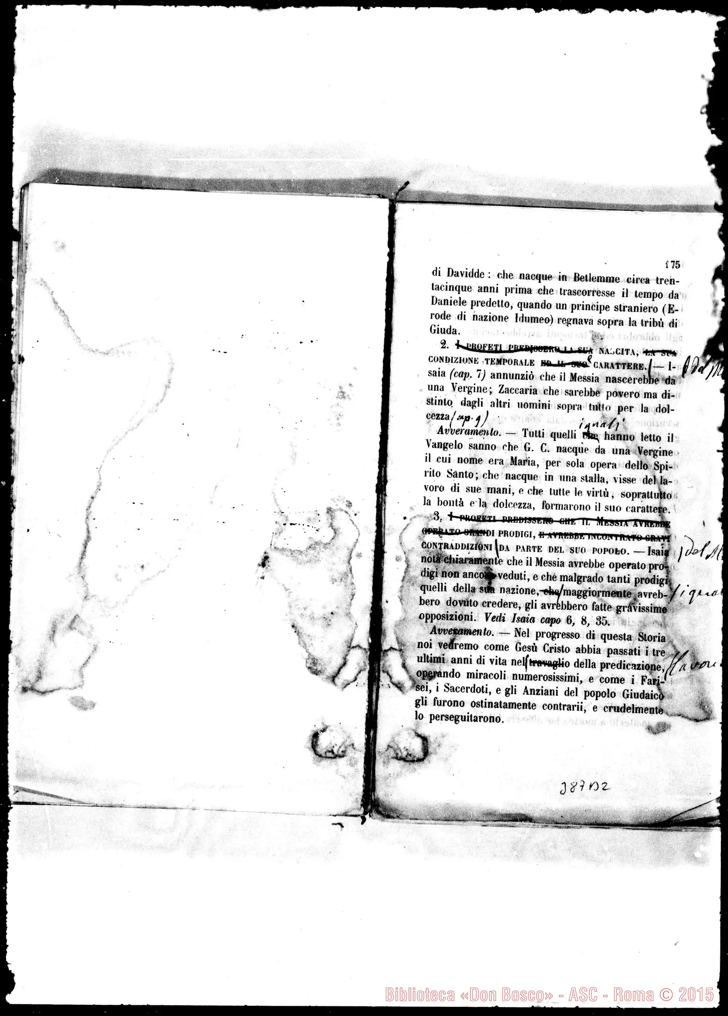 Fotogramma B 2
