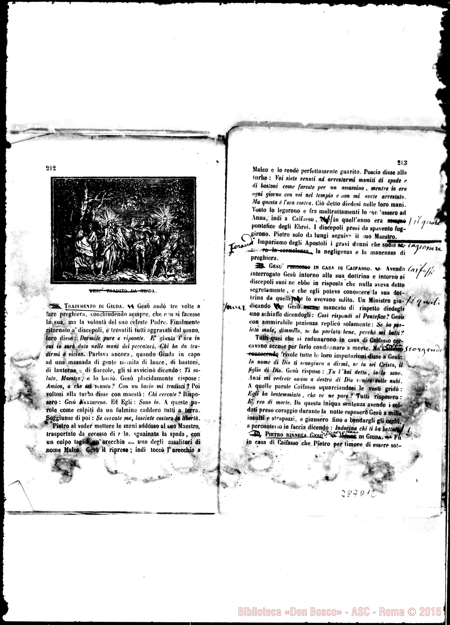 Fotogramma D 12